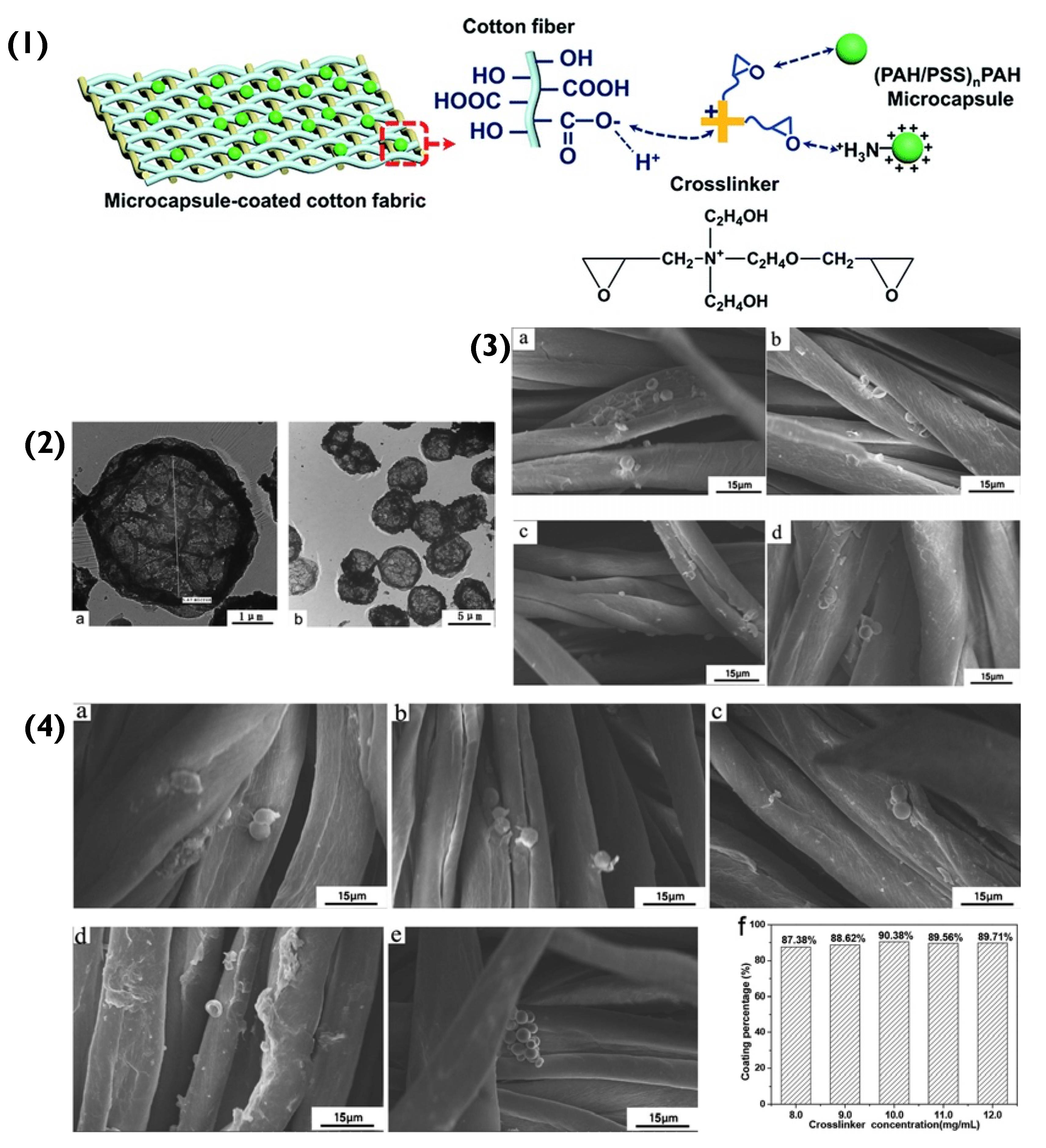 Pharmaceutics 14 02483 g005 Pharmaceutics 14 02483 g005