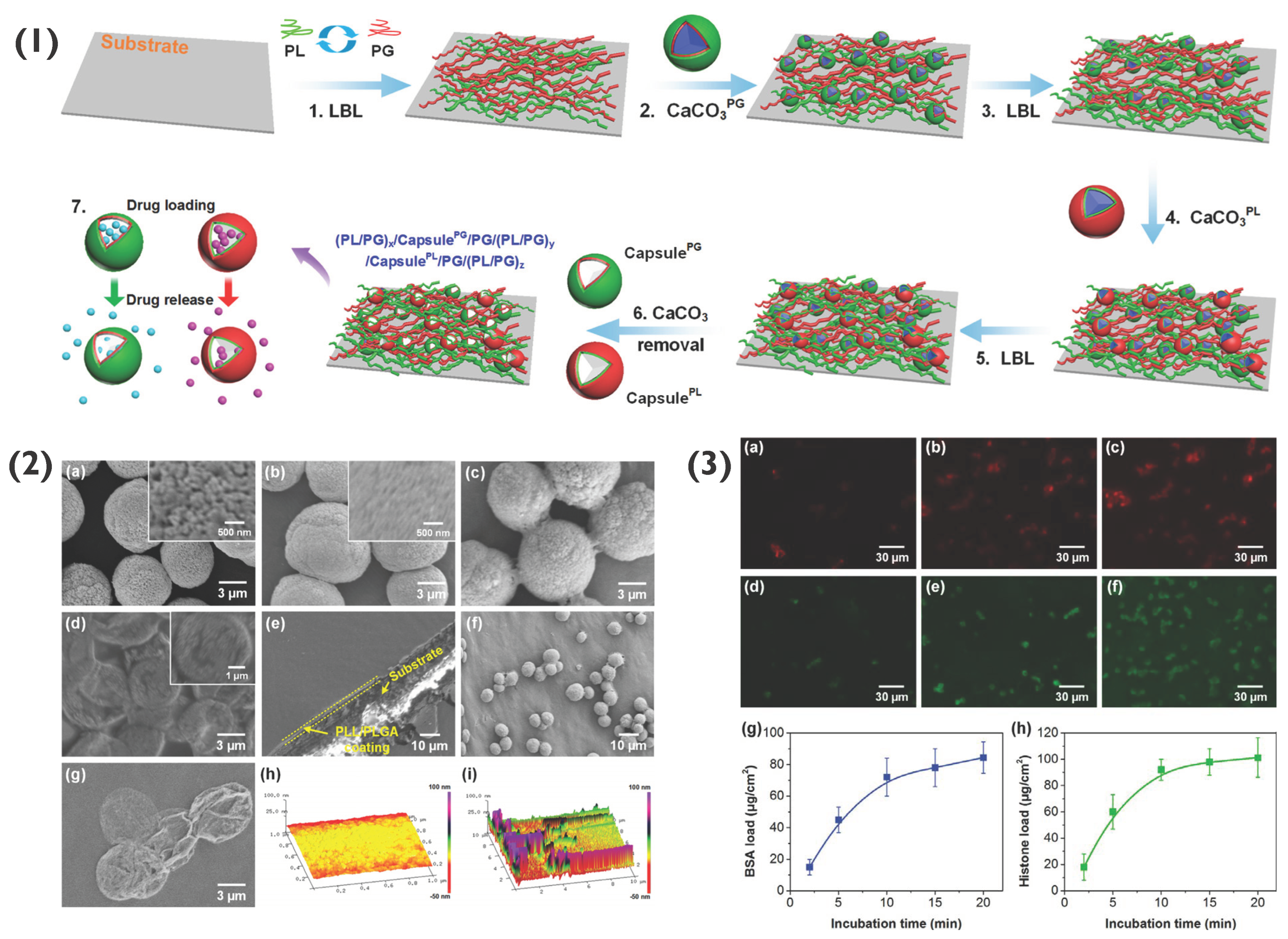 Pharmaceutics 14 02483 g008 Pharmaceutics 14 02483 g008