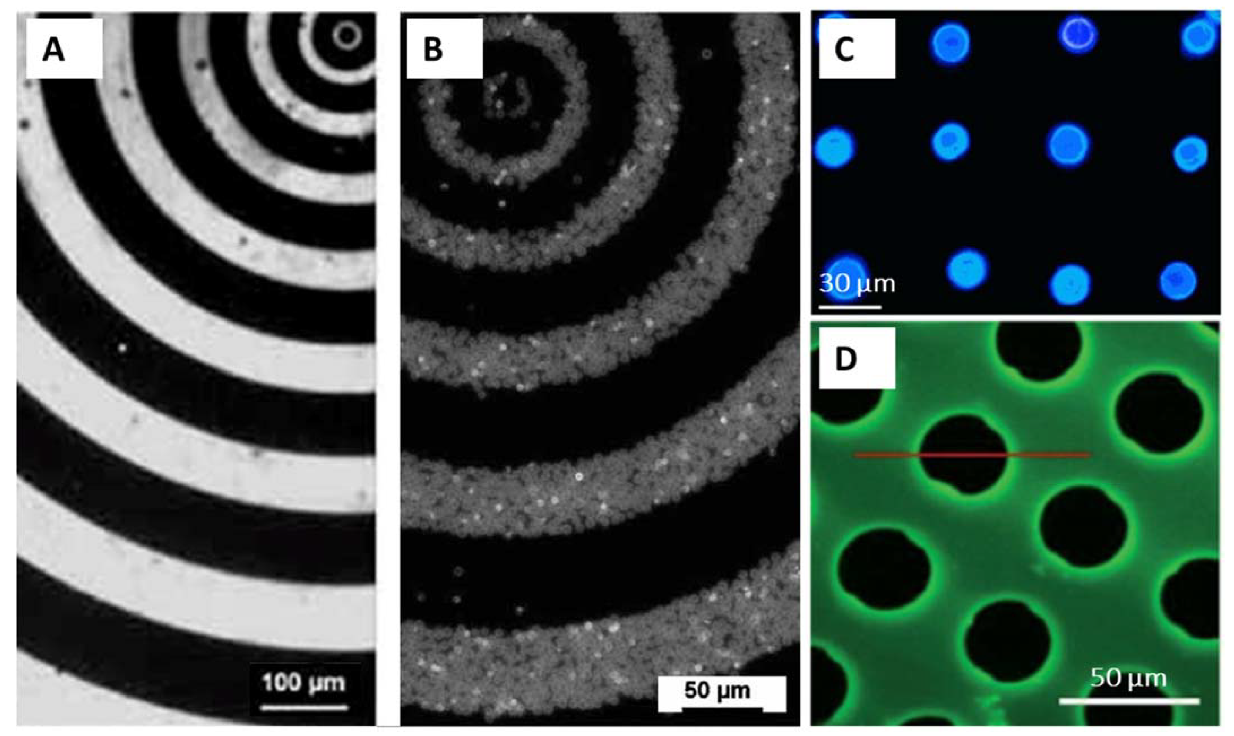 Pharmaceutics 14 02483 g010 Pharmaceutics 14 02483 g010