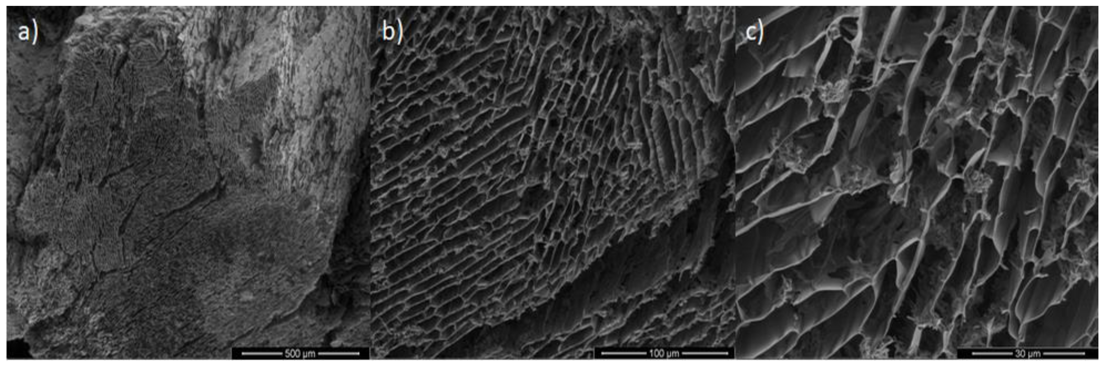 Pharmaceutics 14 02490 g005 Pharmaceutics 14 02490 g005