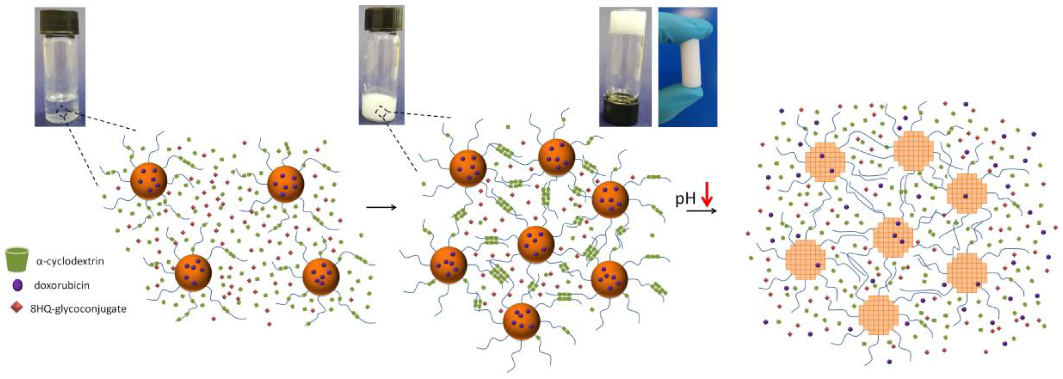 Pharmaceutics 14 02490 sch001 Pharmaceutics 14 02490 sch001