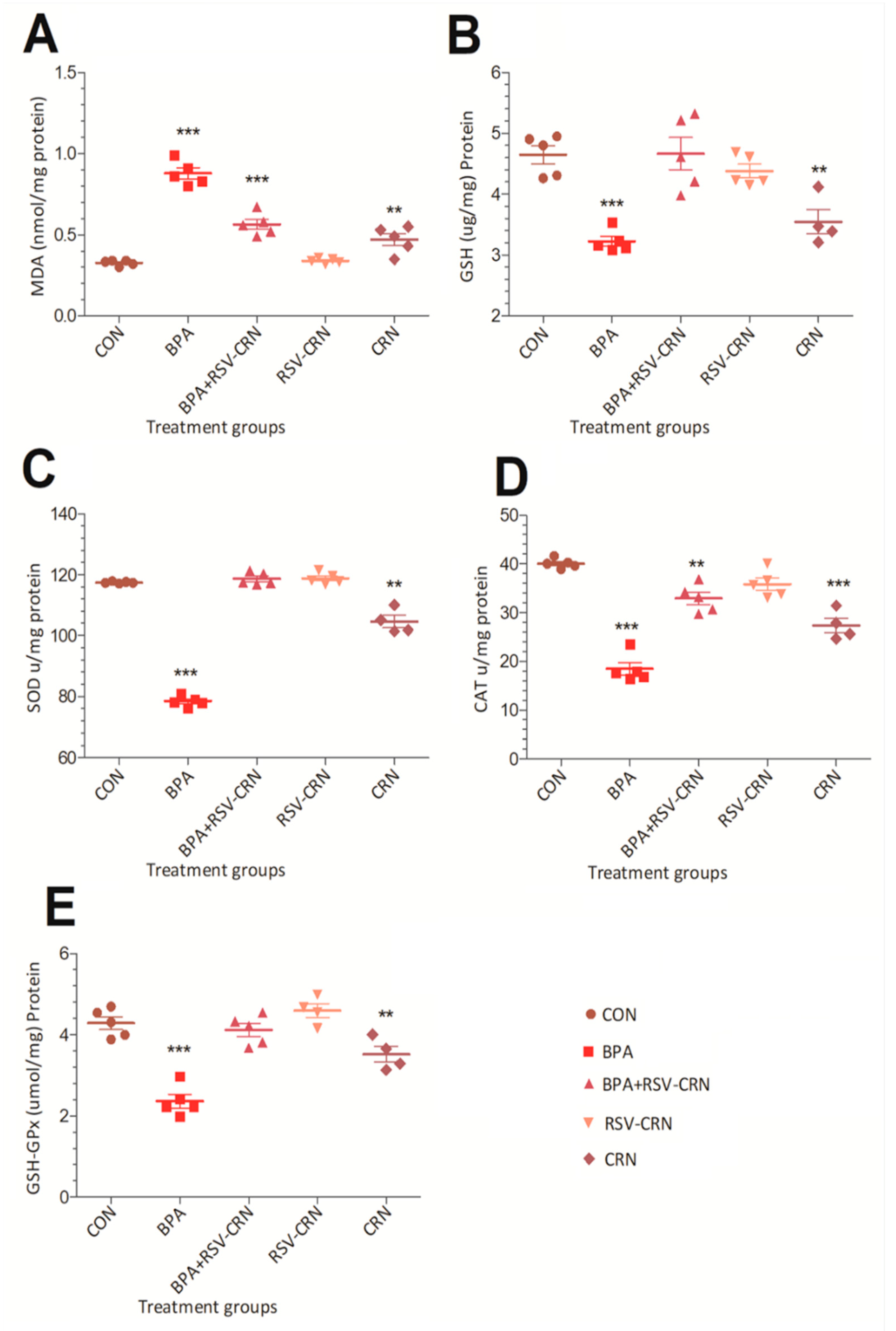 Pharmaceutics 14 02496 g003 Pharmaceutics 14 02496 g003