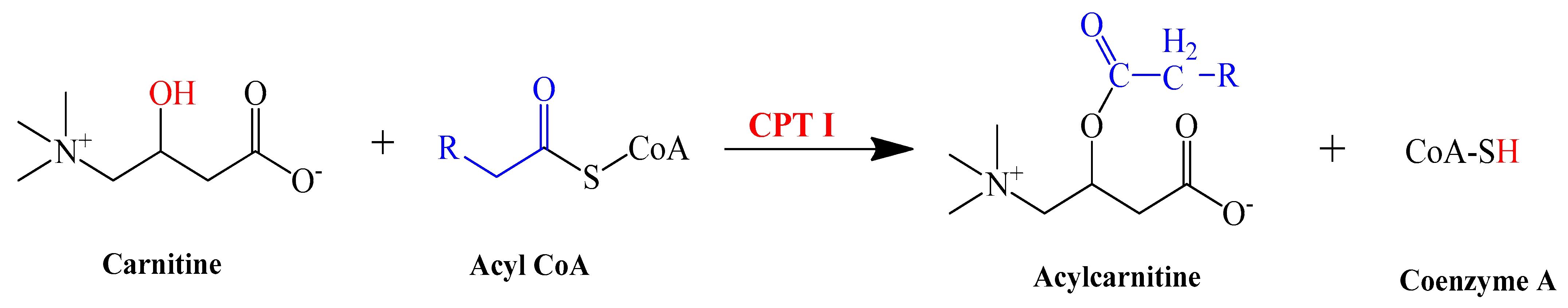Pharmaceutics 14 02496 sch001 Pharmaceutics 14 02496 sch001