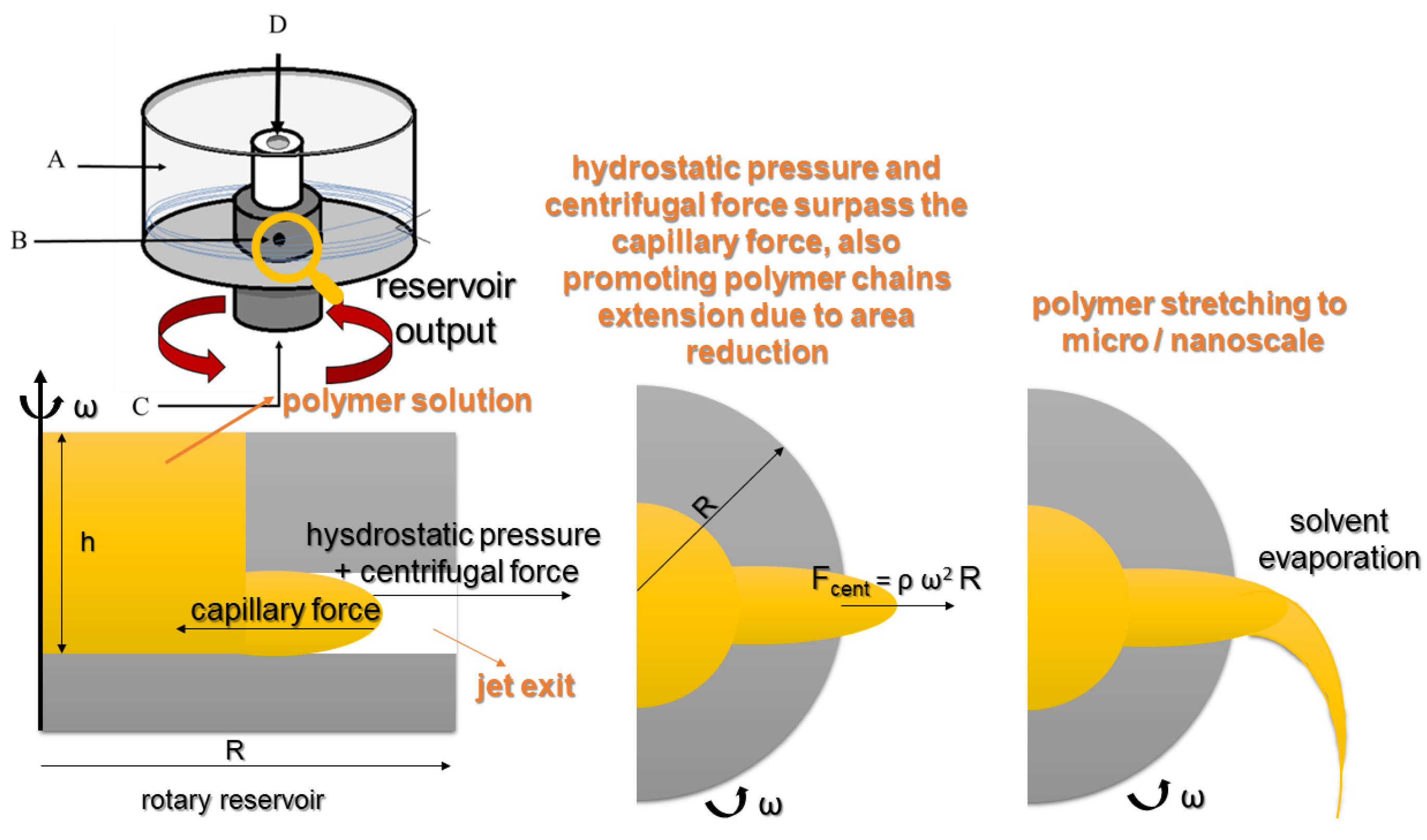 Pharmaceutics 14 02500 g004 Pharmaceutics 14 02500 g004