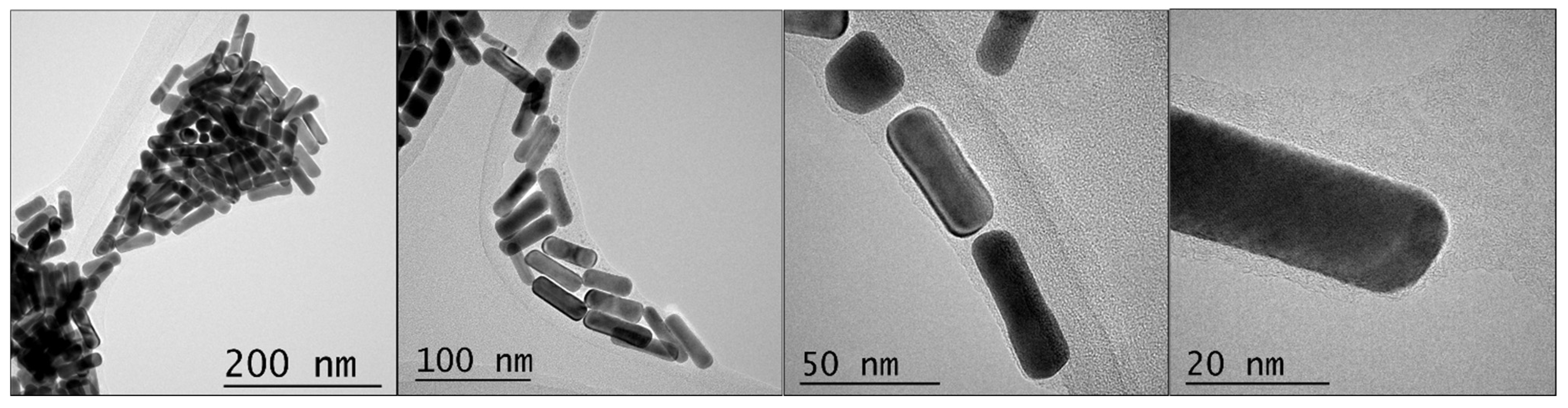 Pharmaceutics 14 02503 g001
