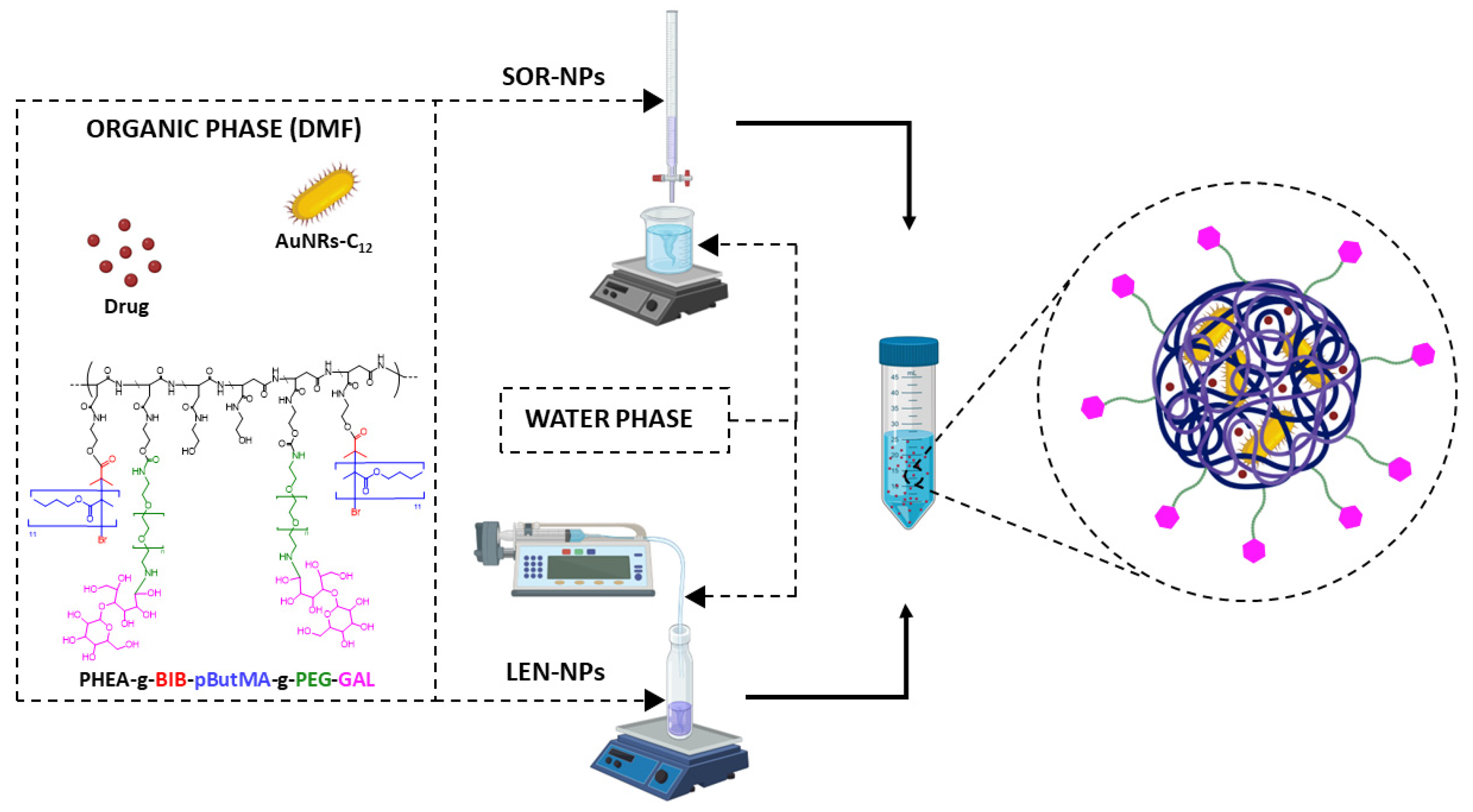 Pharmaceutics 14 02503 g005