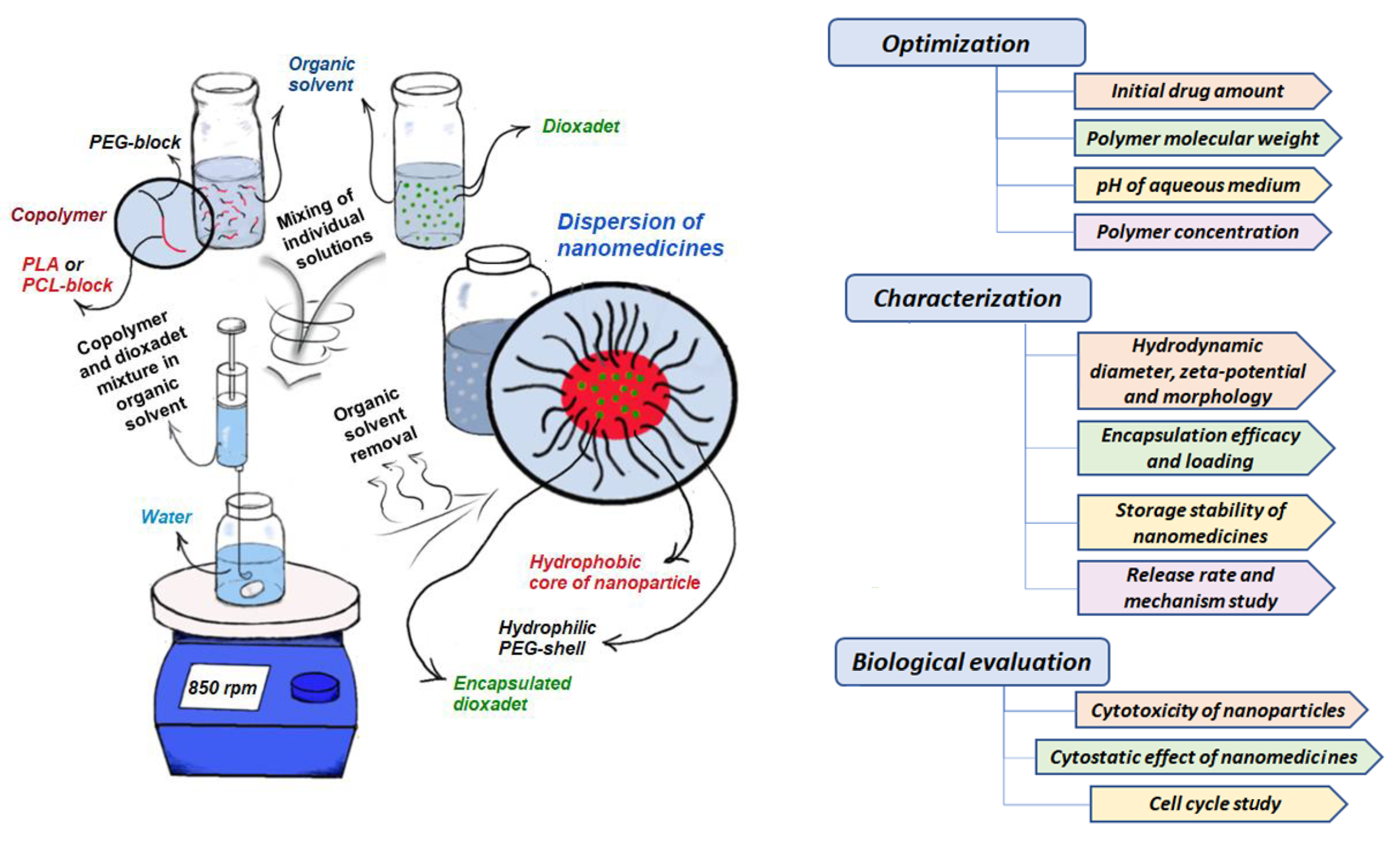 Pharmaceutics 14 02506 g002 Pharmaceutics 14 02506 g002