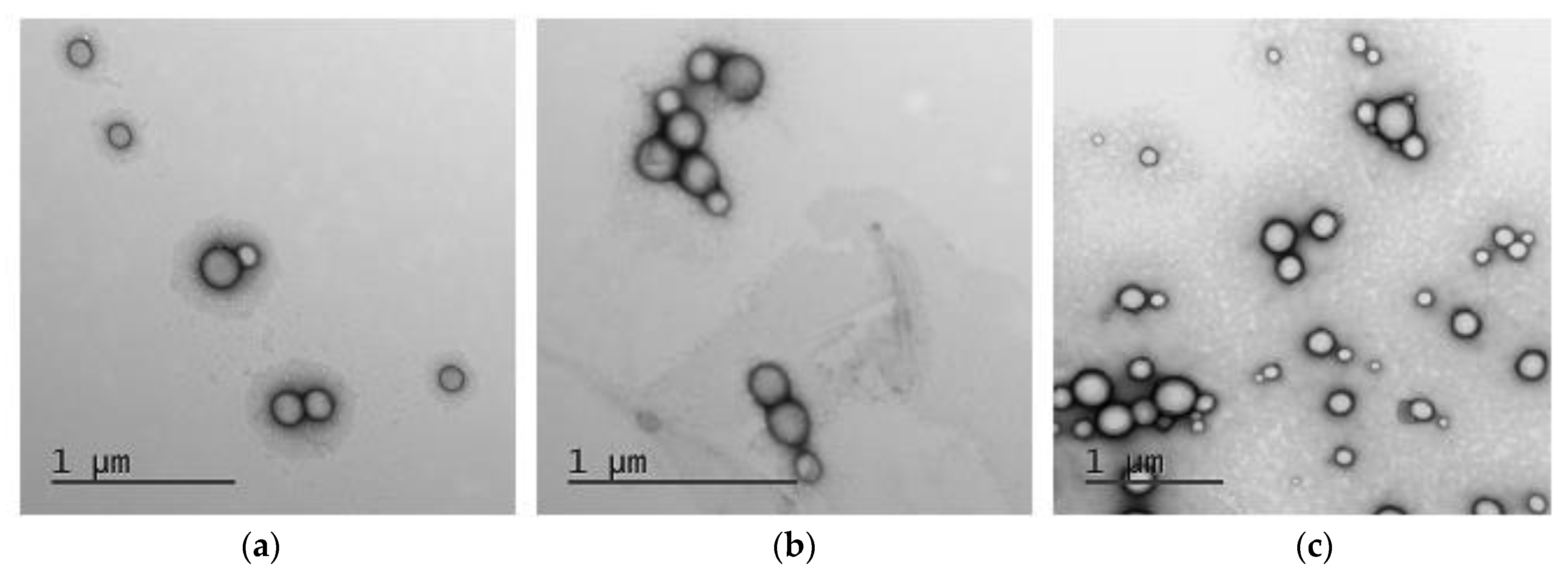 Pharmaceutics 14 02506 g009 Pharmaceutics 14 02506 g009
