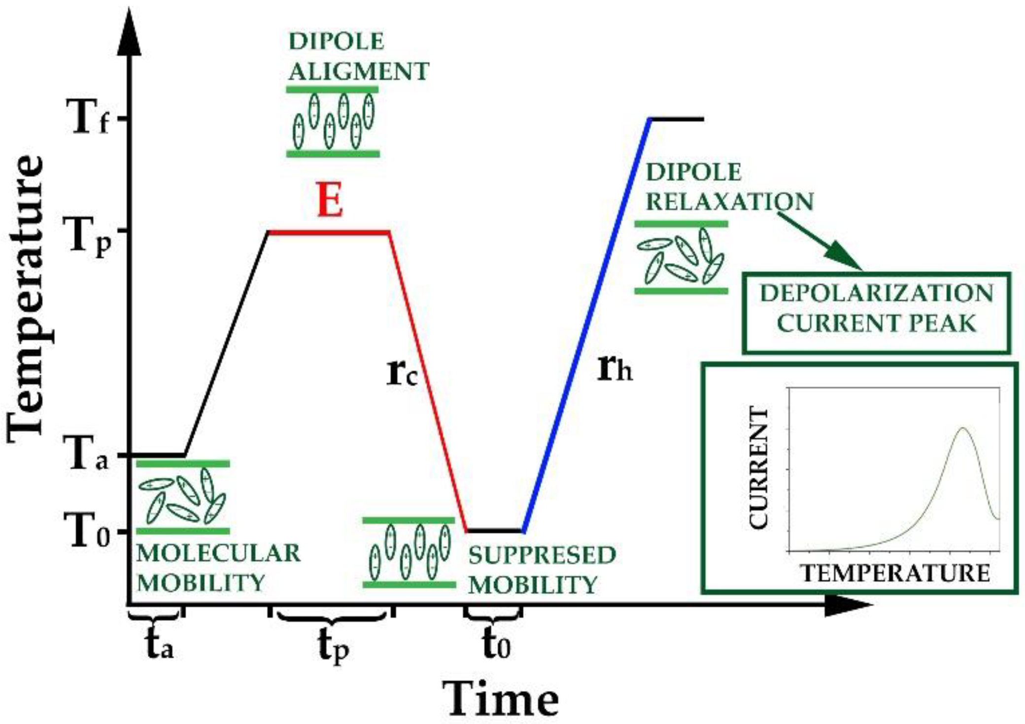 Pharmaceutics 14 02508 g002