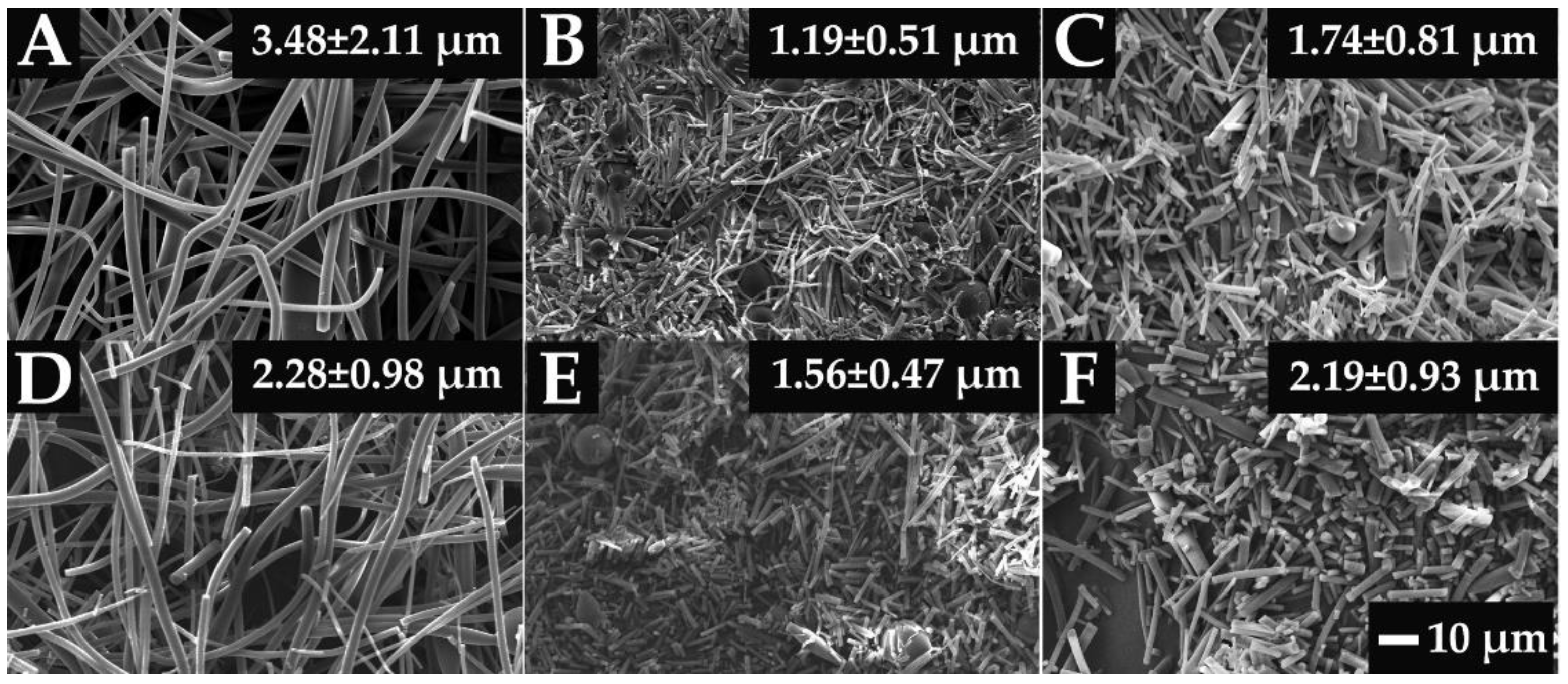 Pharmaceutics 14 02508 g003