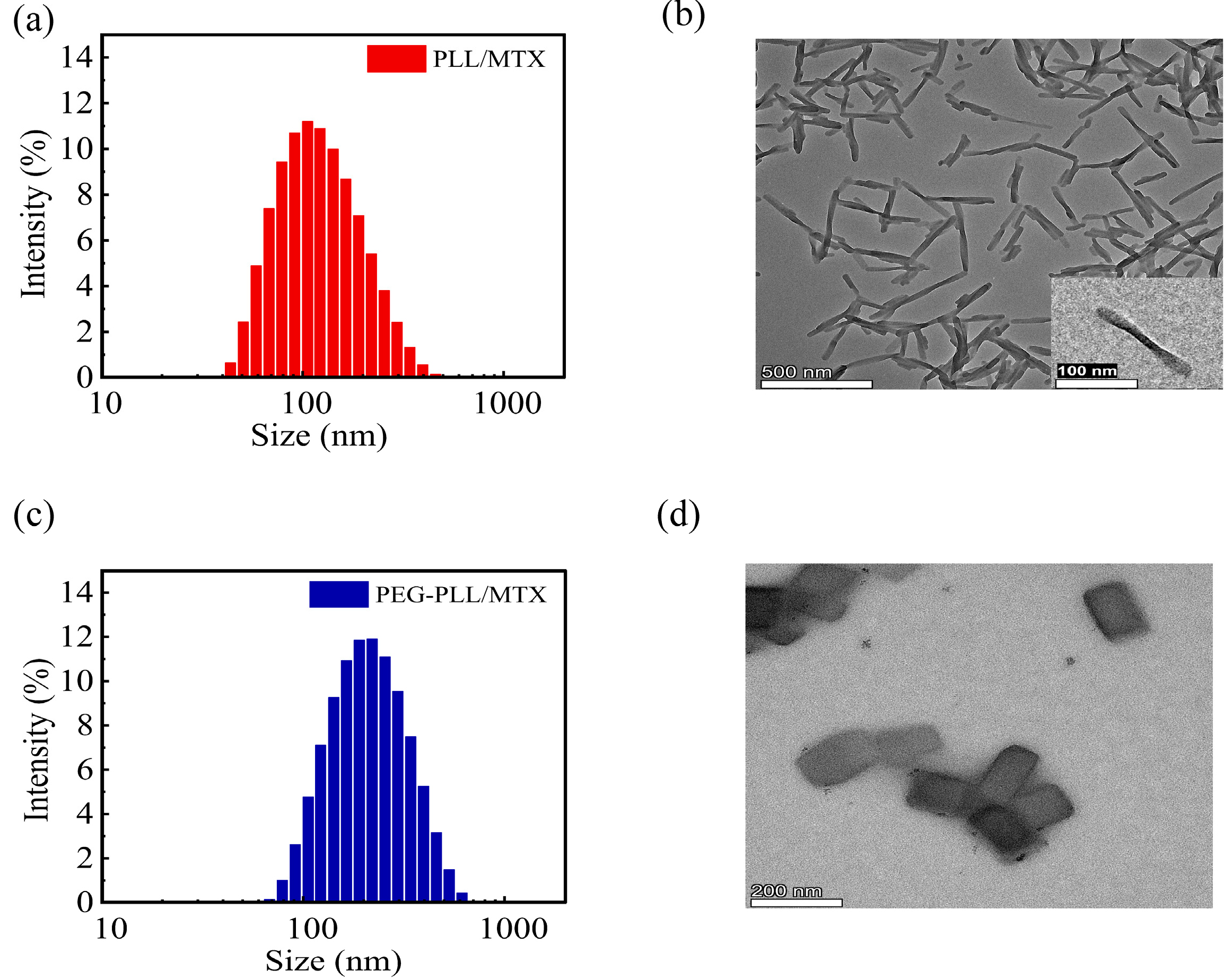 Pharmaceutics 14 02512 g001 Pharmaceutics 14 02512 g001