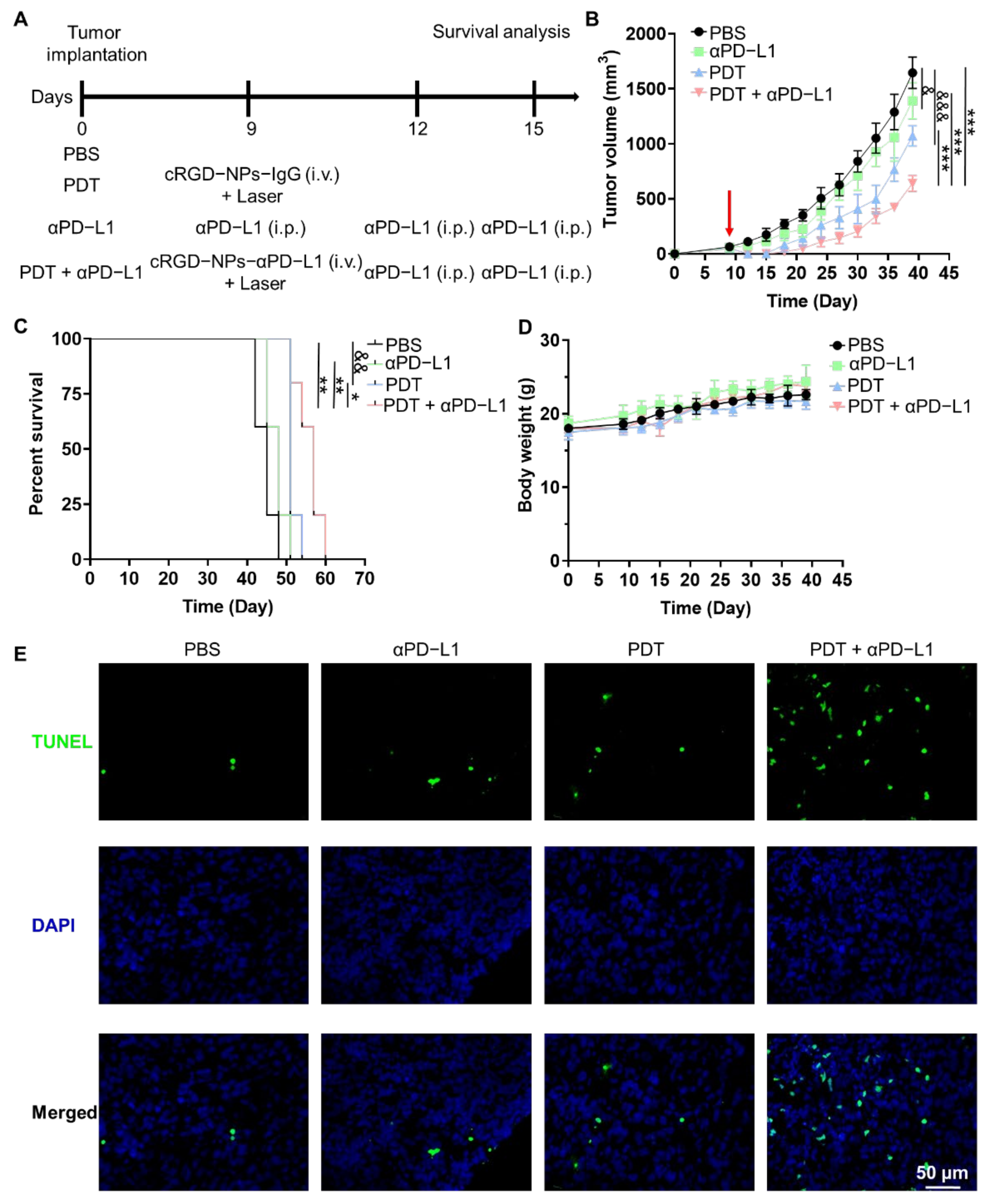 Pharmaceutics 14 02513 g005 Pharmaceutics 14 02513 g005