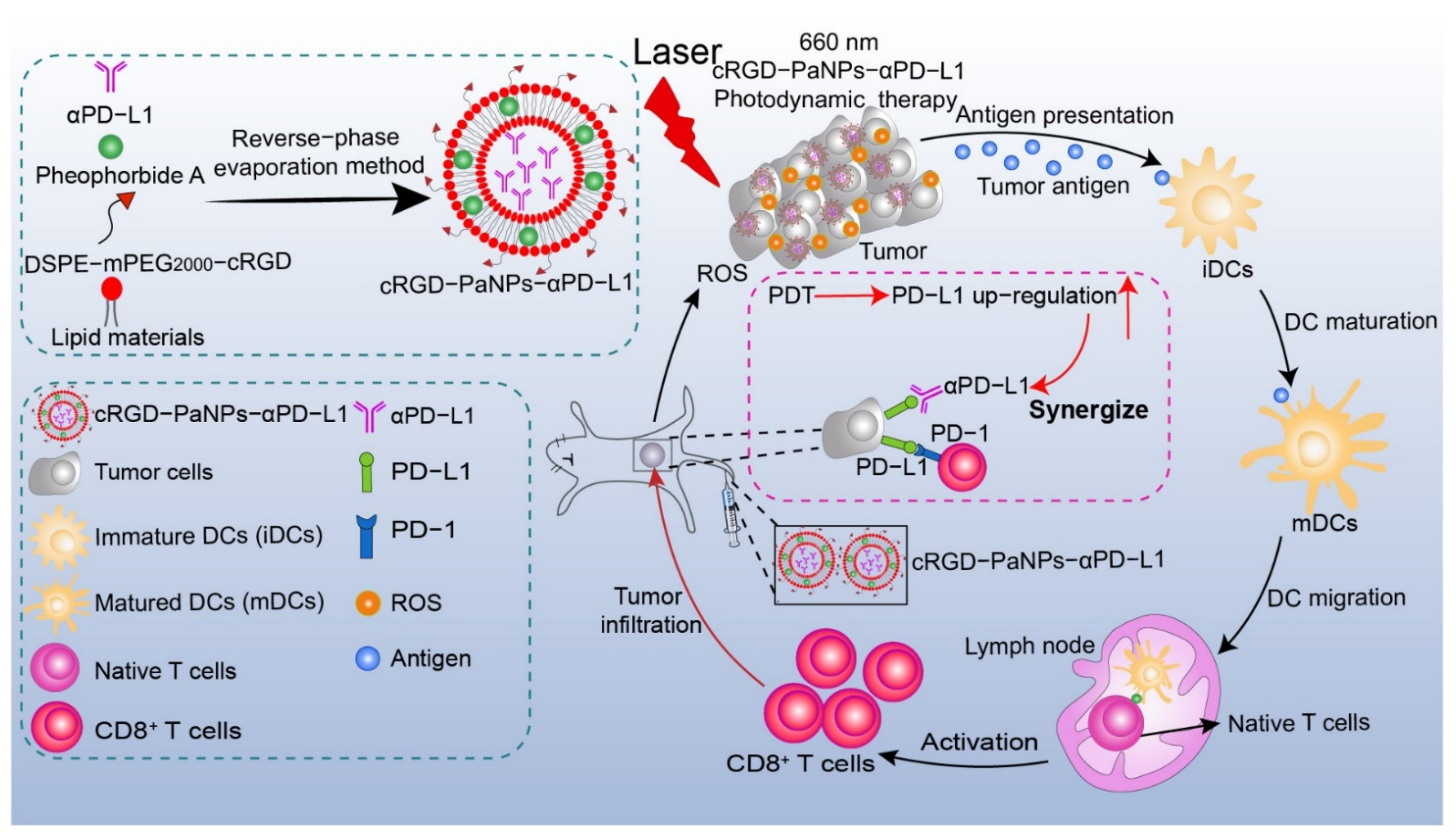 Pharmaceutics 14 02513 sch001 Pharmaceutics 14 02513 sch001