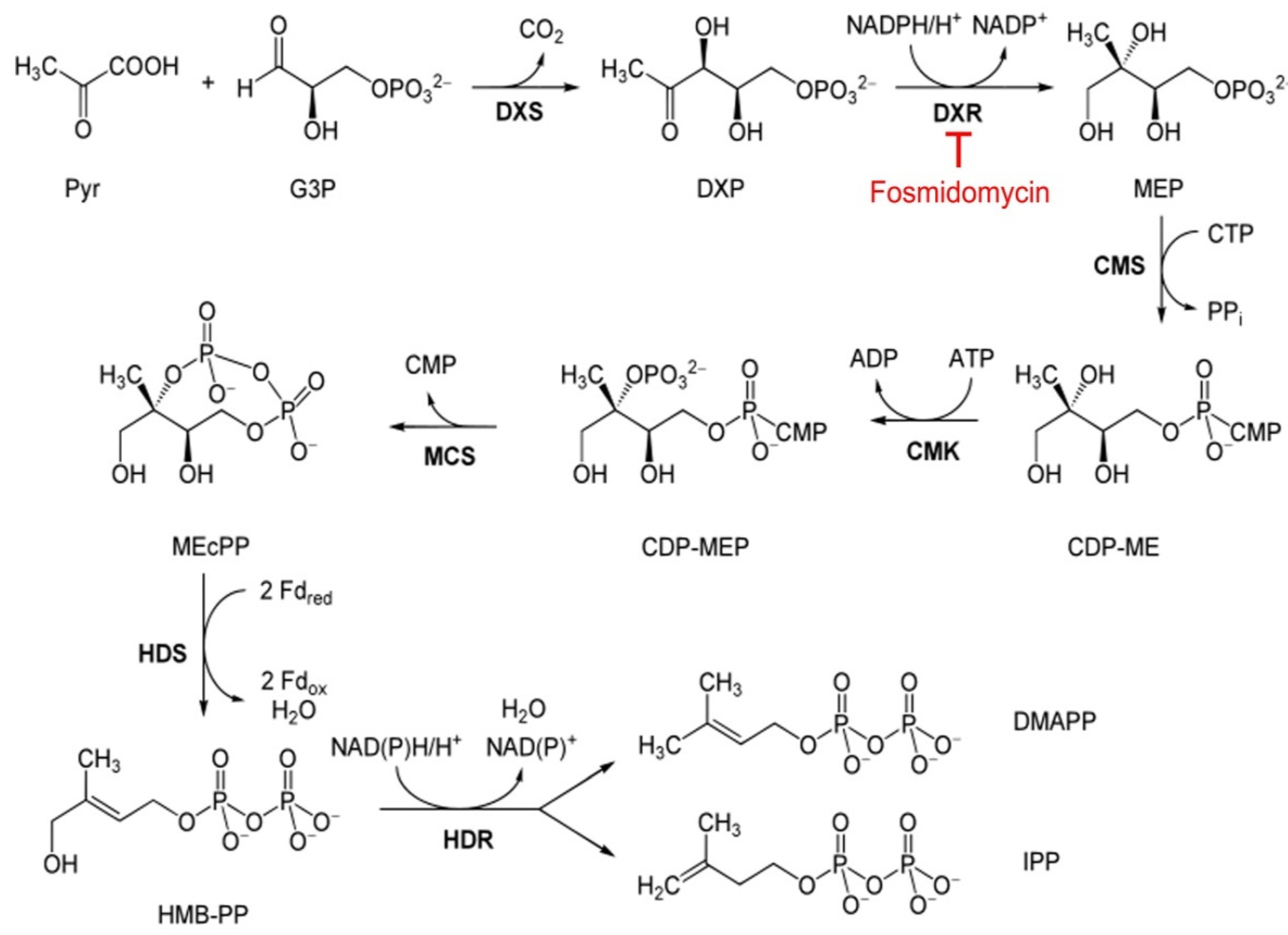 Pharmaceutics 14 02515 g001 Pharmaceutics 14 02515 g001