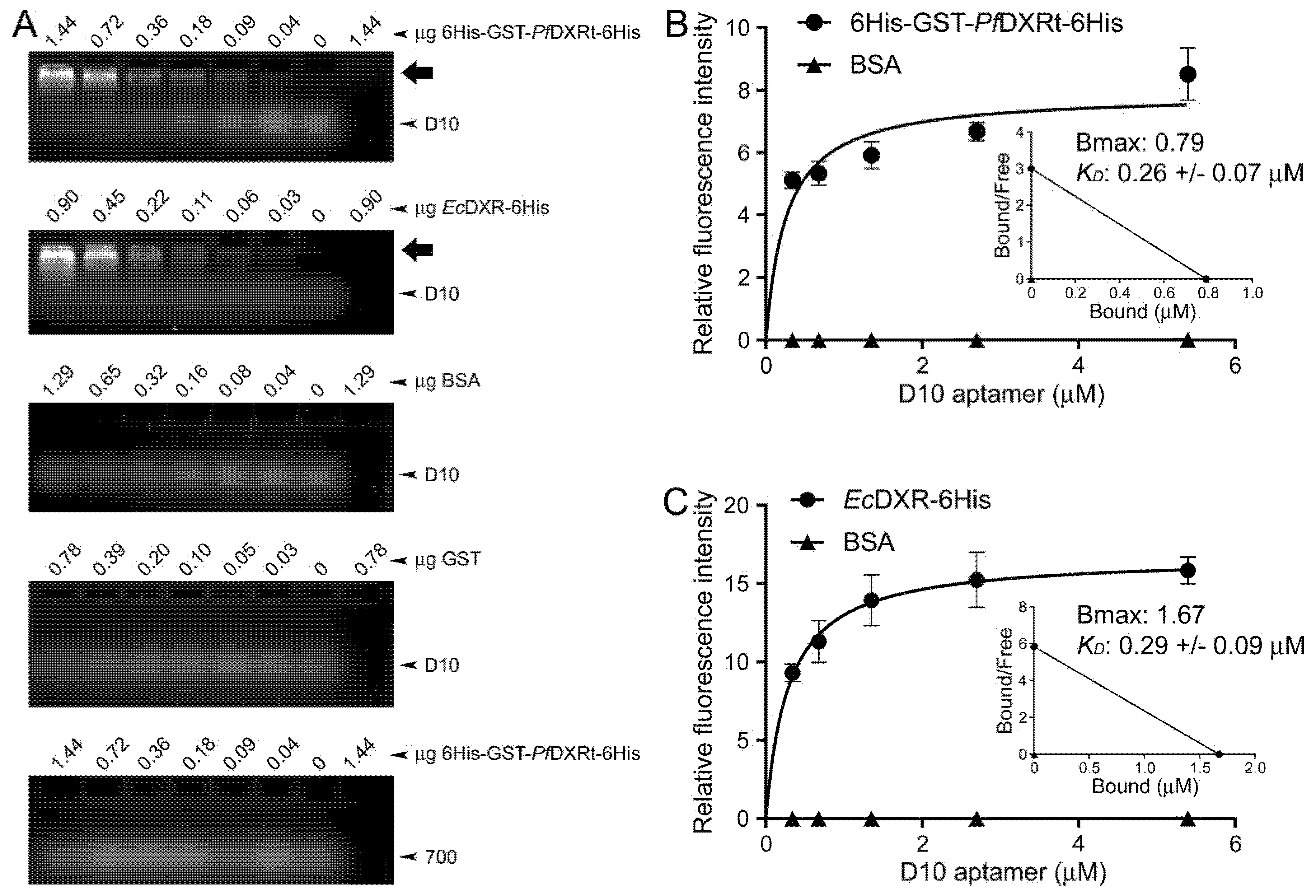 Pharmaceutics 14 02515 g004 Pharmaceutics 14 02515 g004