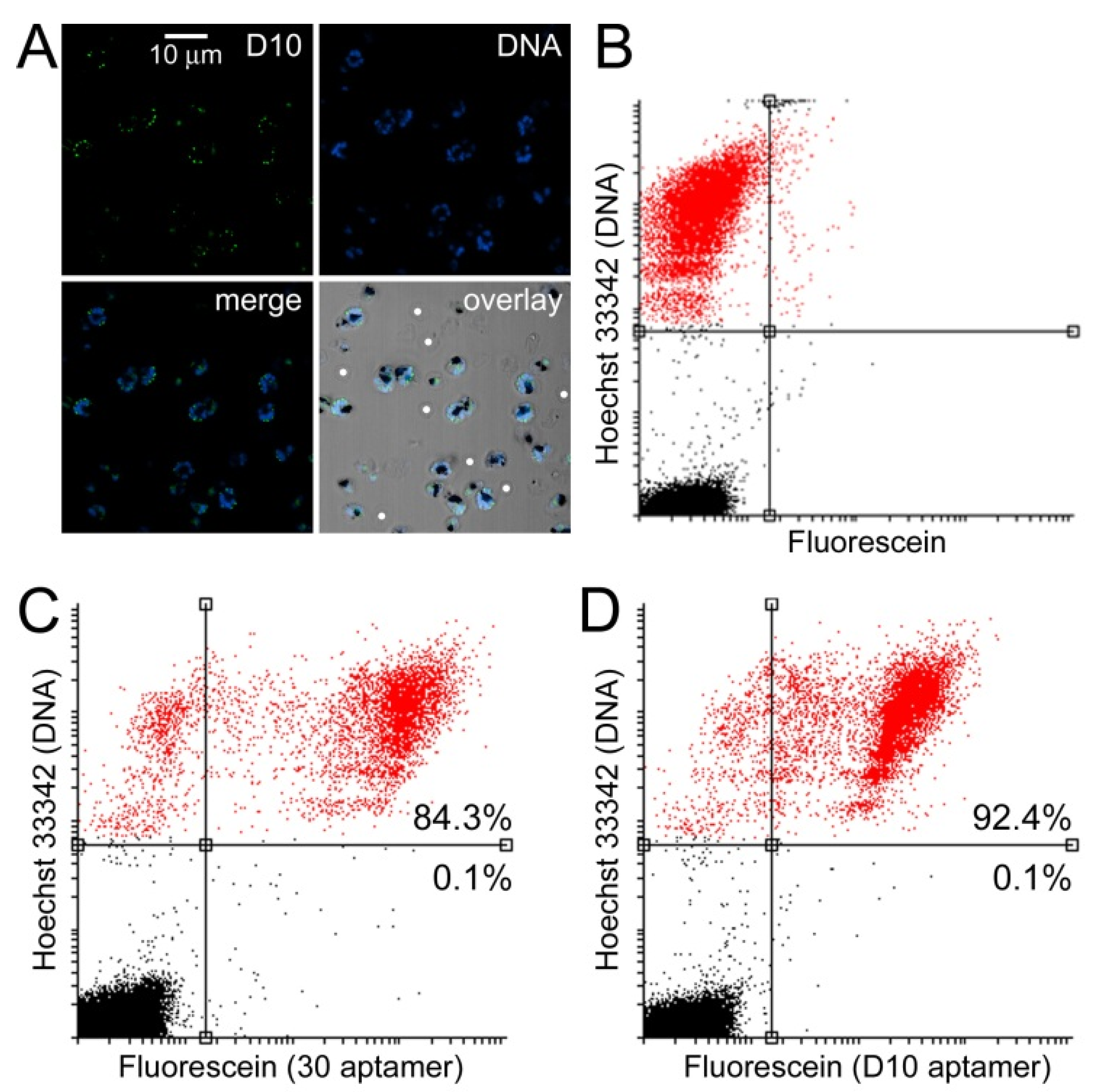 Pharmaceutics 14 02515 g009 Pharmaceutics 14 02515 g009