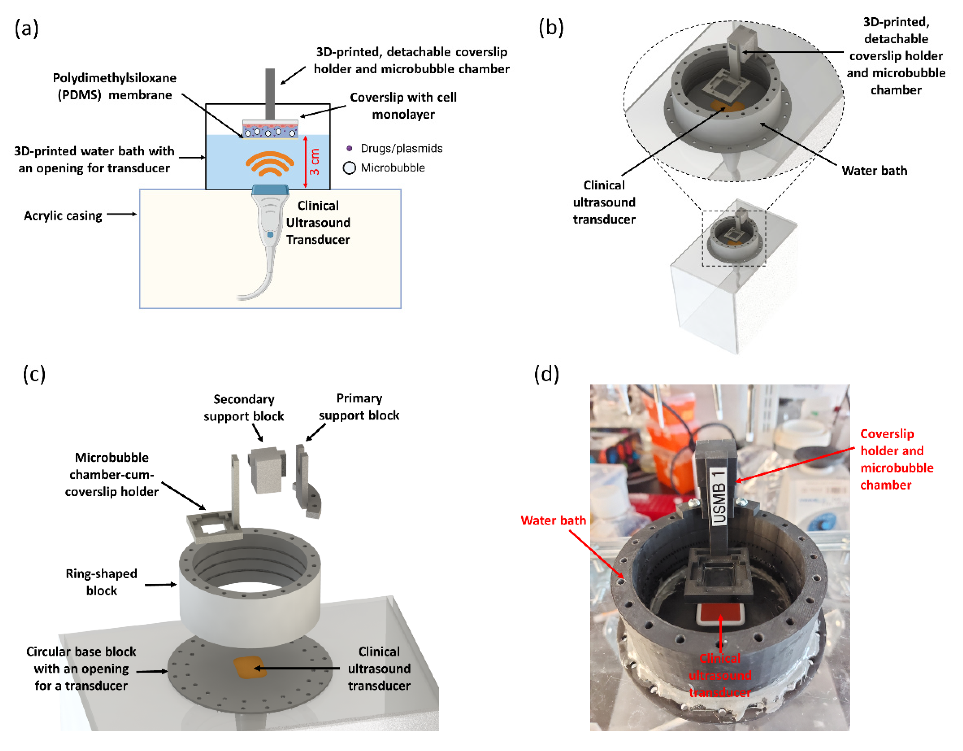 Pharmaceutics 14 02516 g001 Pharmaceutics 14 02516 g001