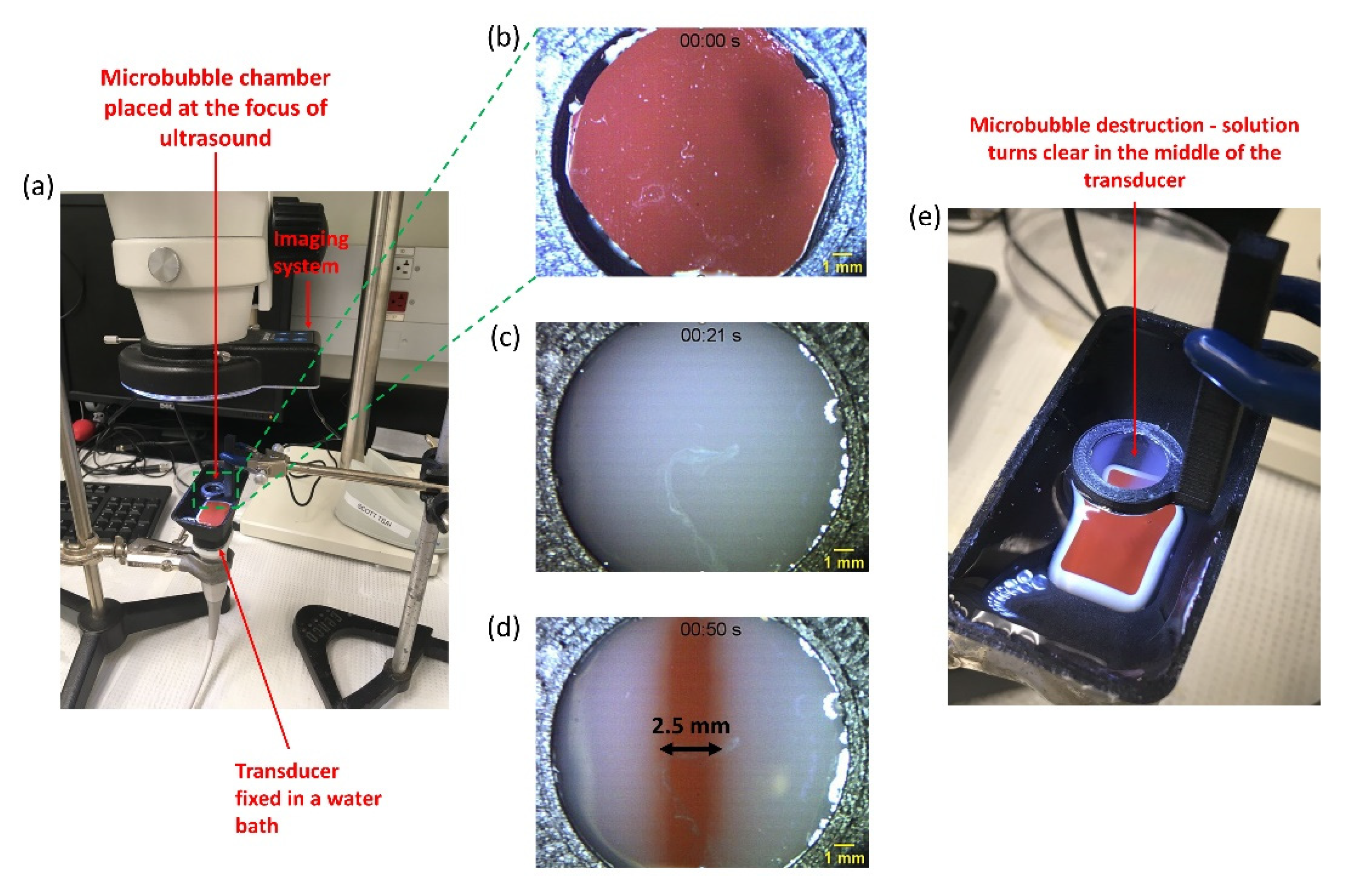 Pharmaceutics 14 02516 g002 Pharmaceutics 14 02516 g002