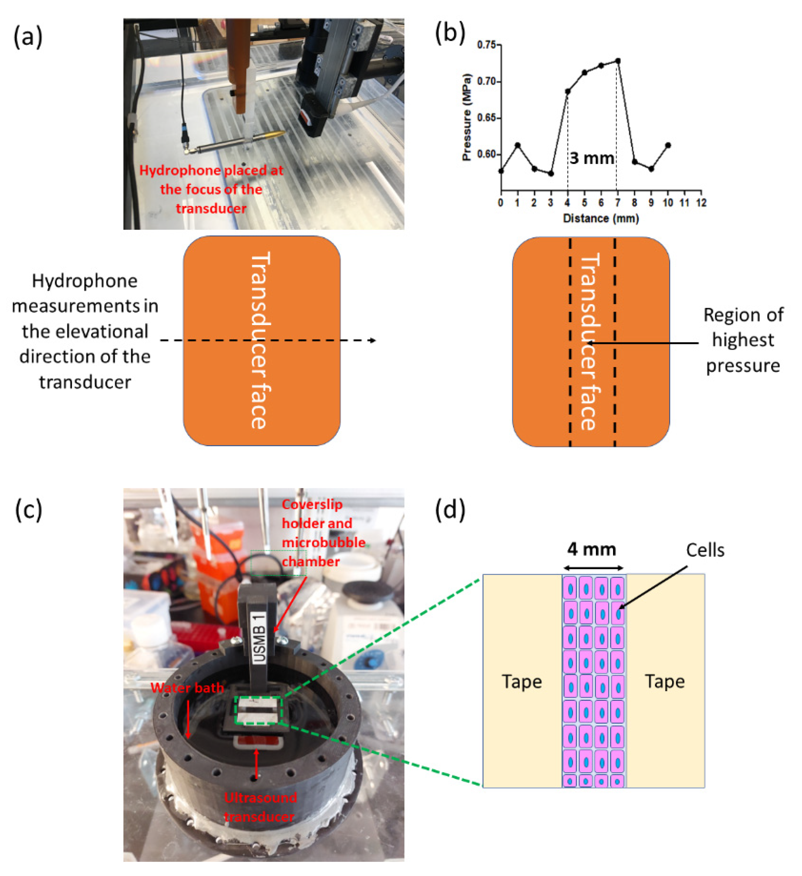 Pharmaceutics 14 02516 g003 Pharmaceutics 14 02516 g003