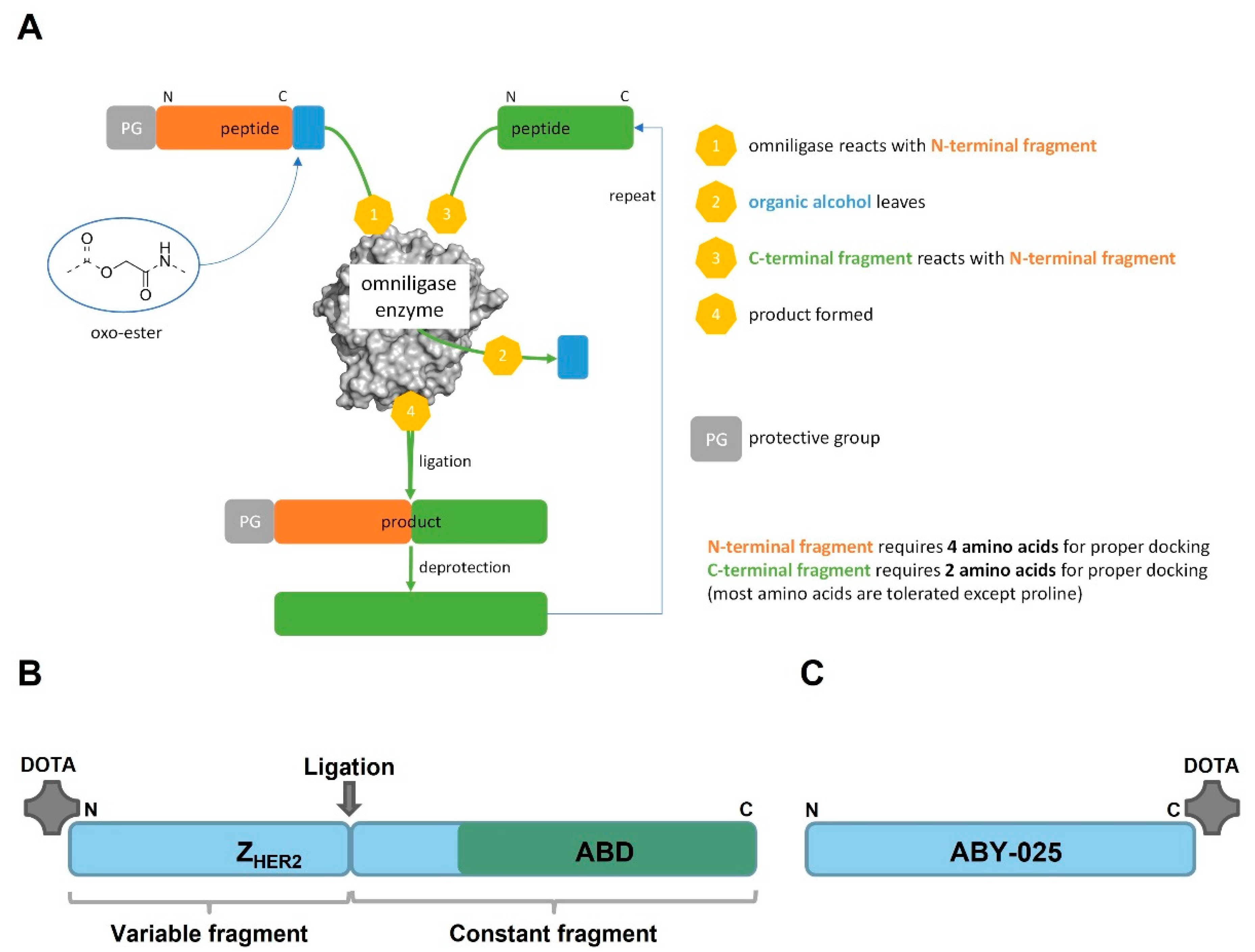Pharmaceutics 14 02519 g001