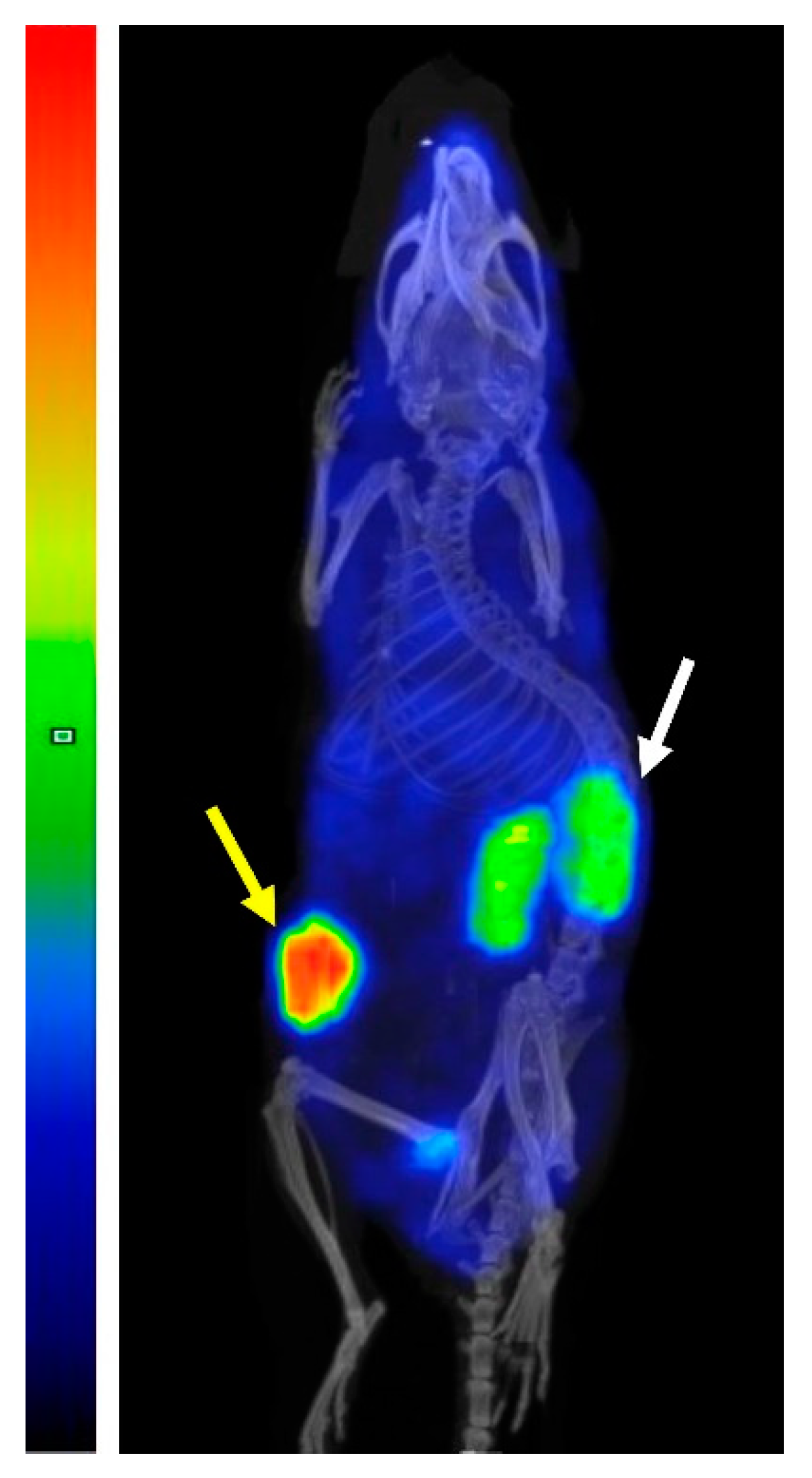 Pharmaceutics 14 02519 g007