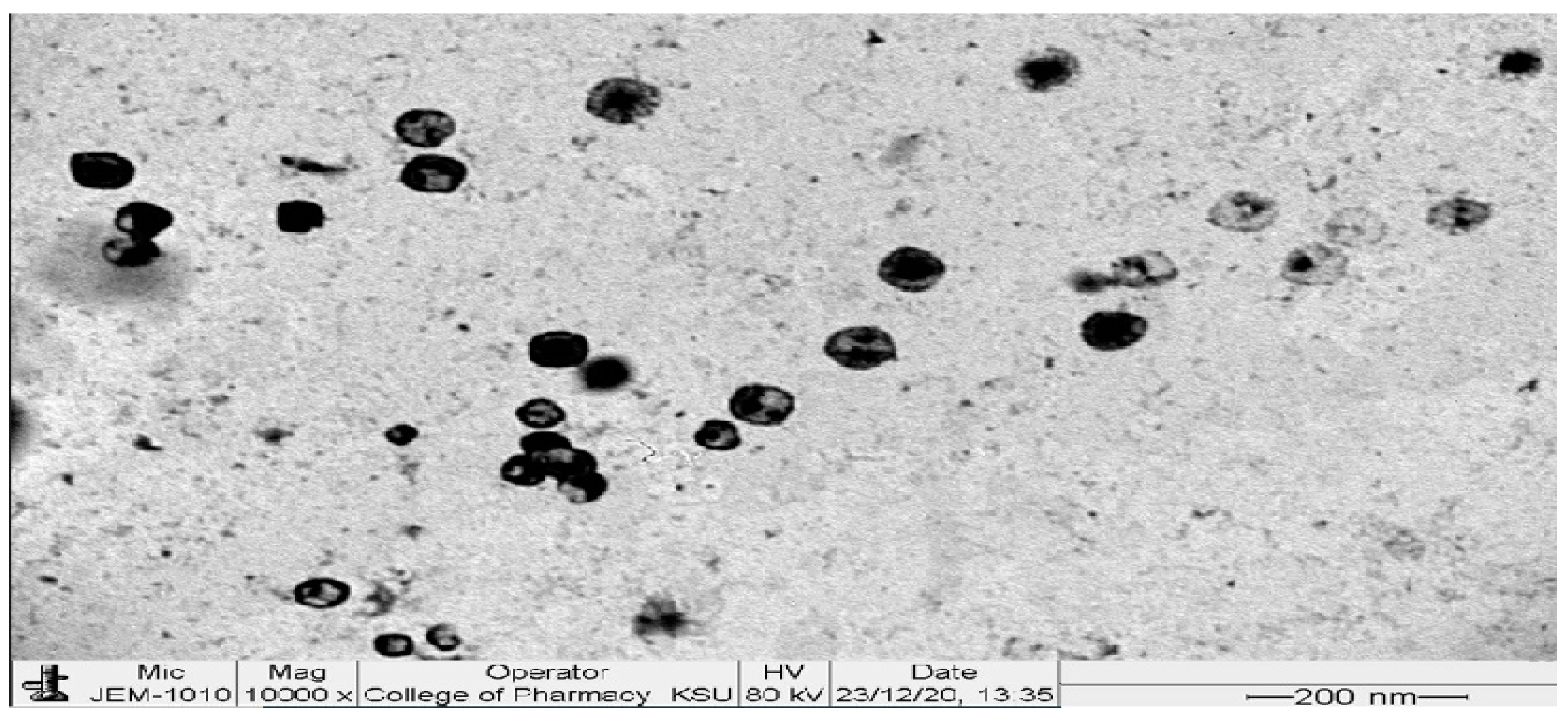 Pharmaceutics 14 02521 g007 Pharmaceutics 14 02521 g007