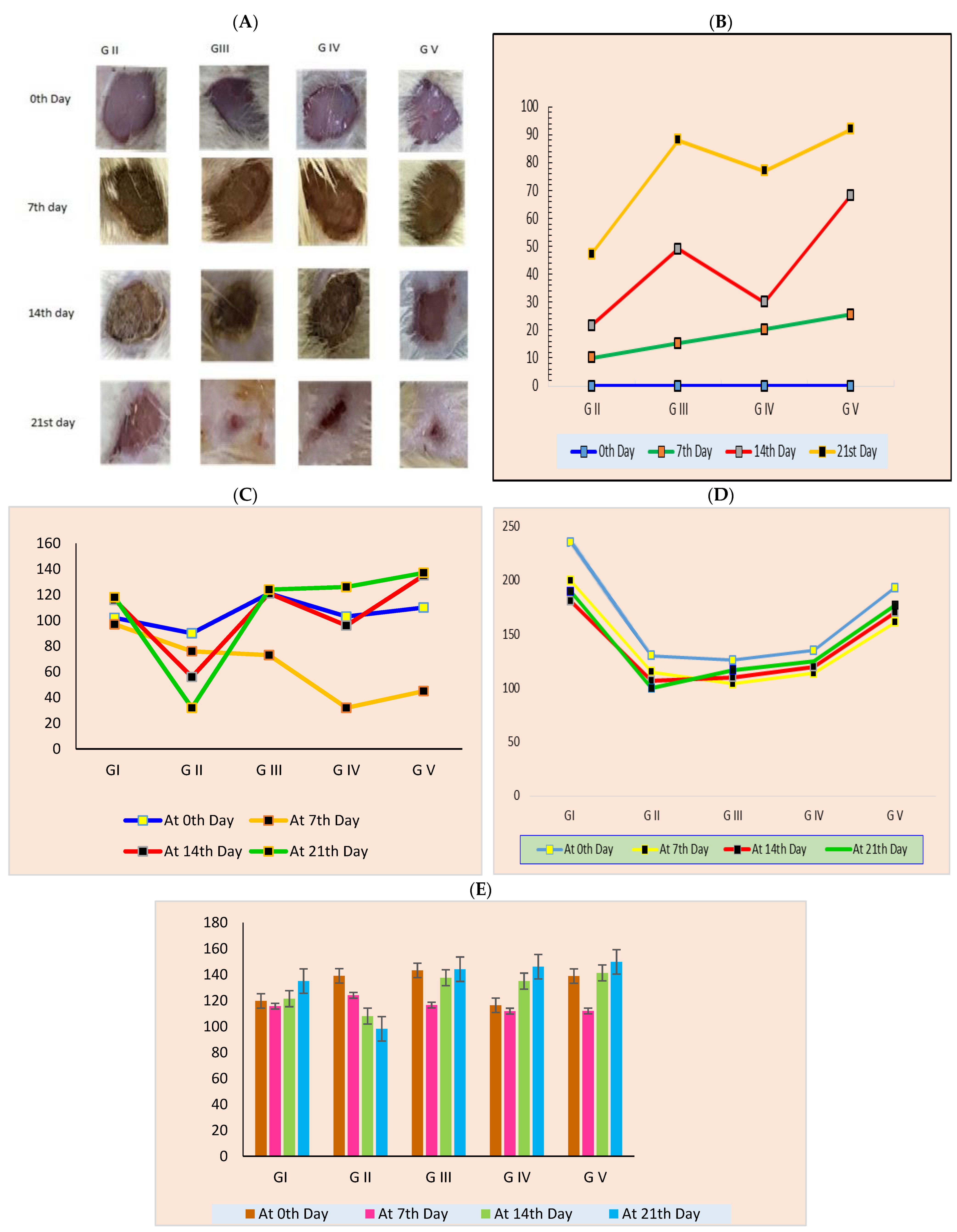 Pharmaceutics 14 02521 g010 Pharmaceutics 14 02521 g010