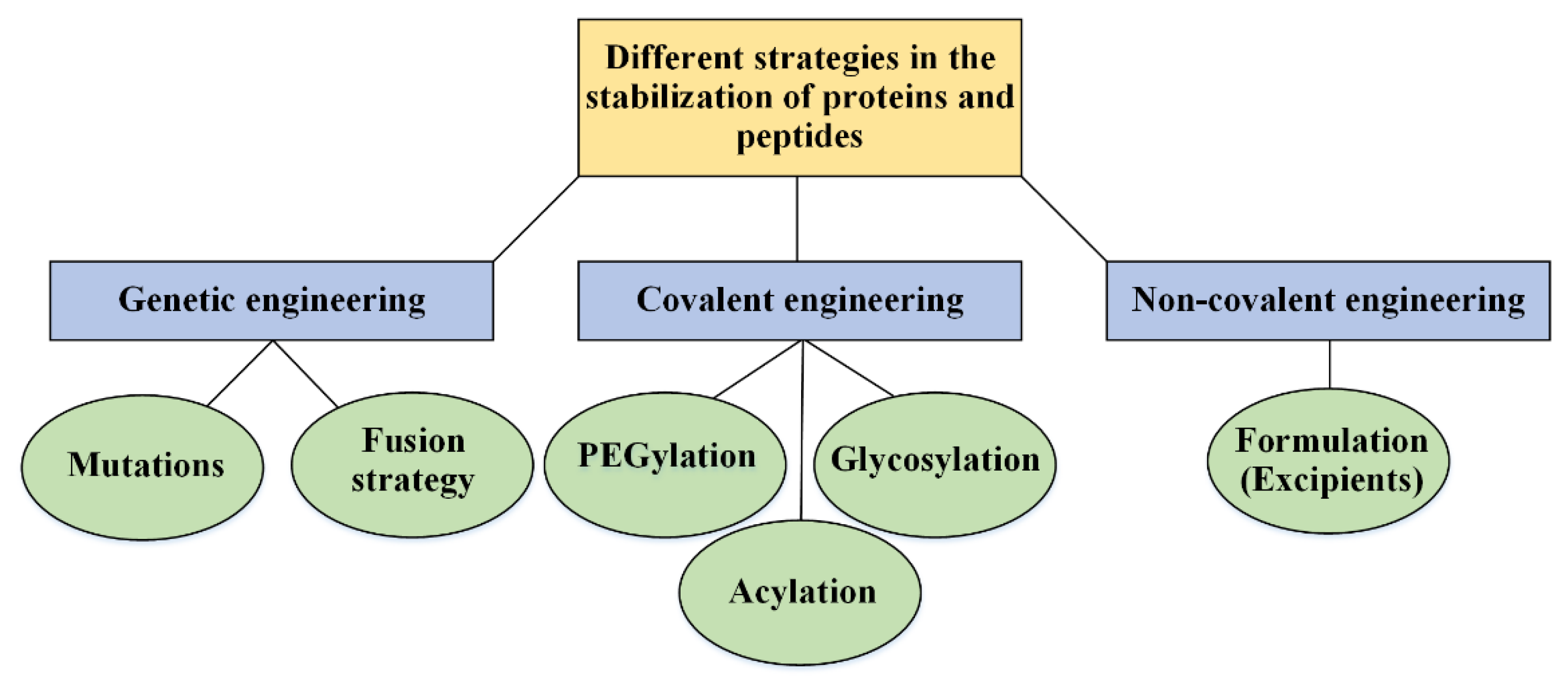 Pharmaceutics 14 02533 g006