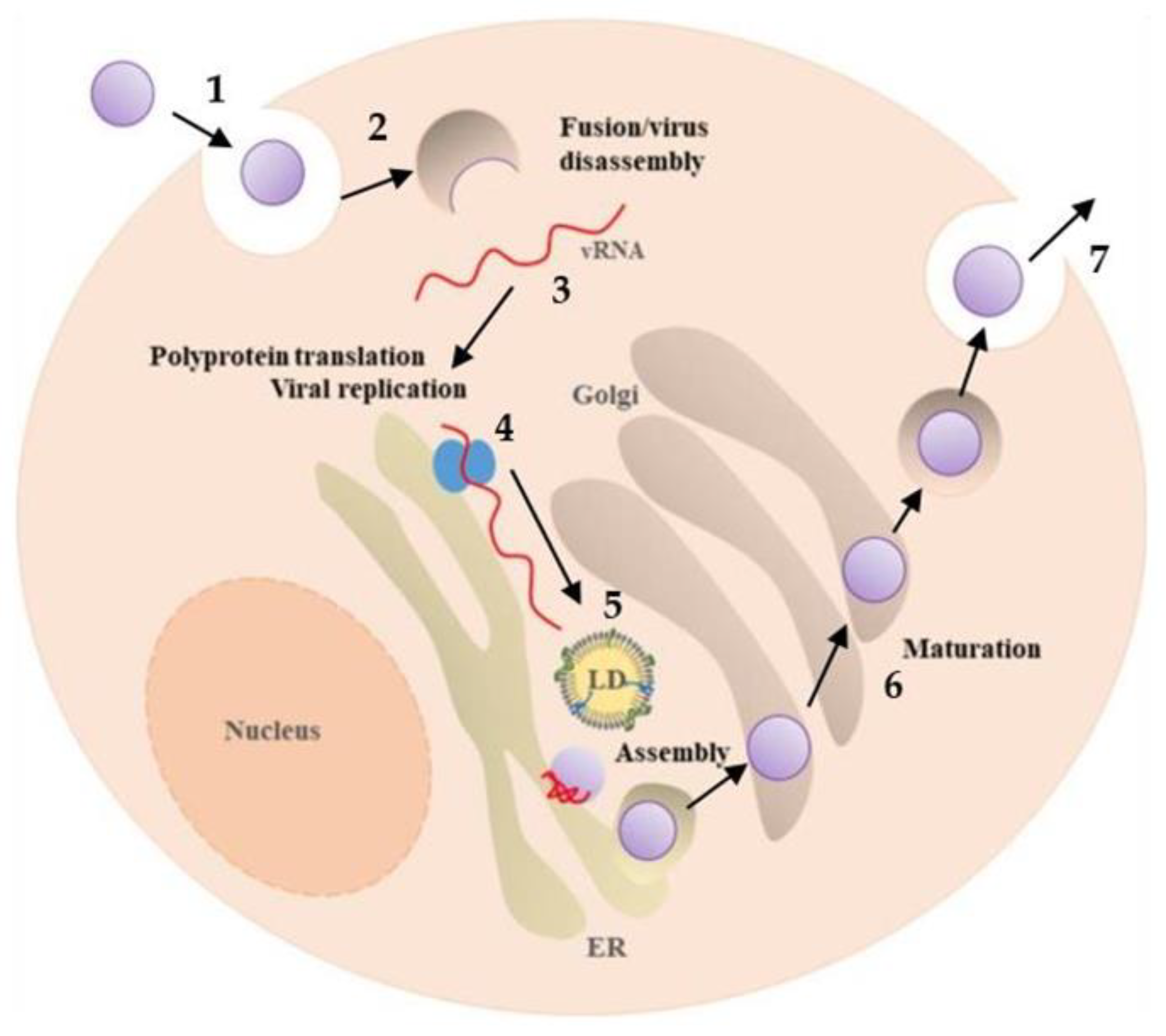 Pharmaceutics 14 02535 g003