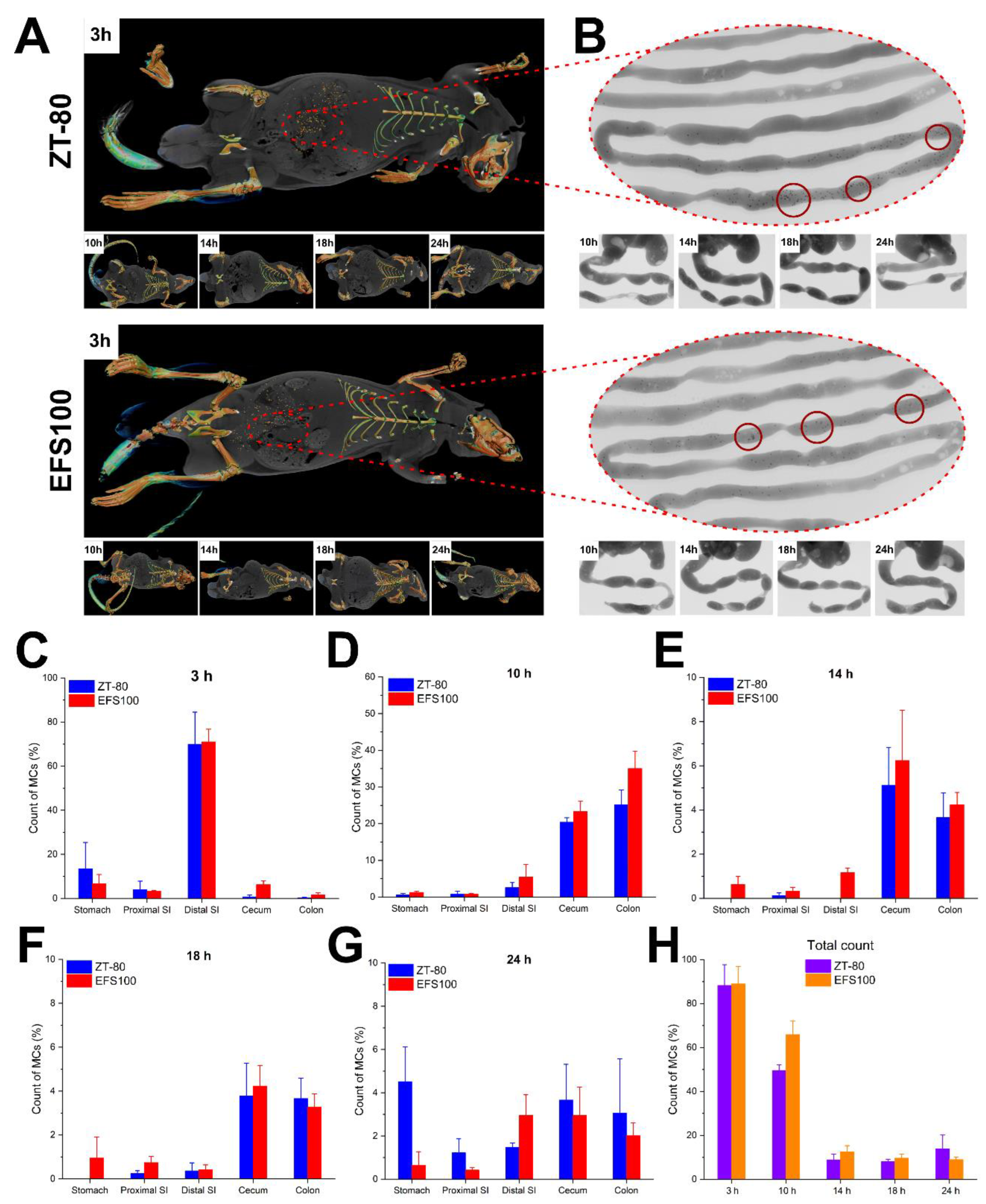 Pharmaceutics 14 02536 g005