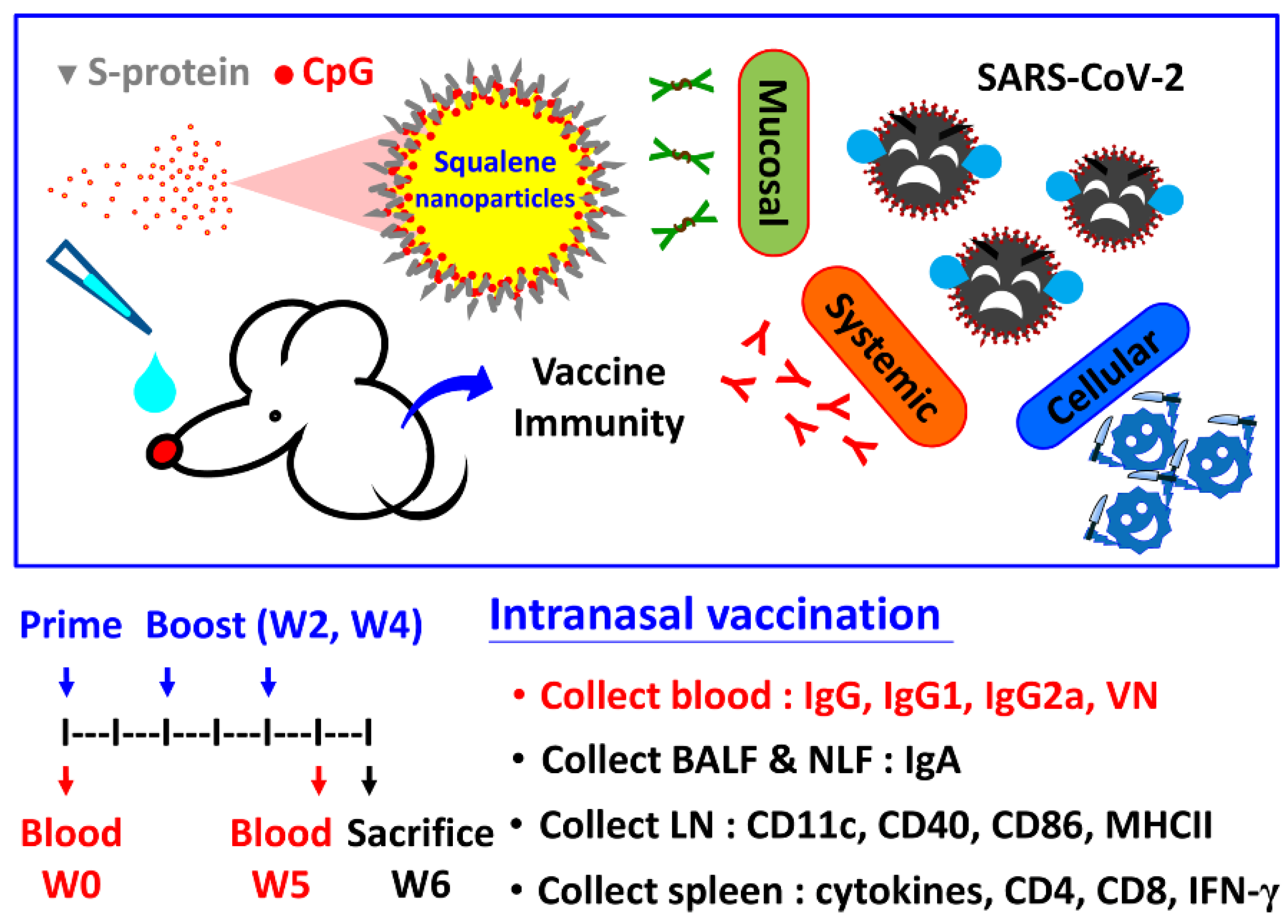 Pharmaceutics 14 02539 g001 Pharmaceutics 14 02539 g001
