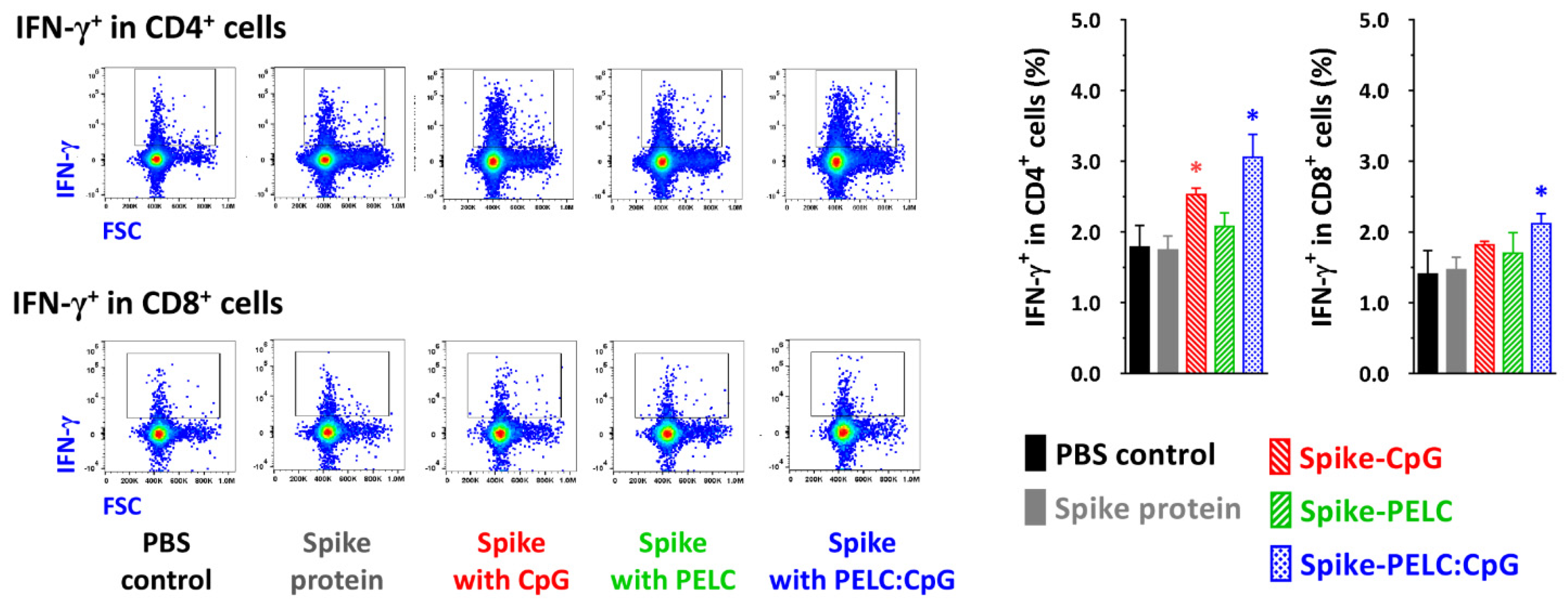 Pharmaceutics 14 02539 g007 Pharmaceutics 14 02539 g007