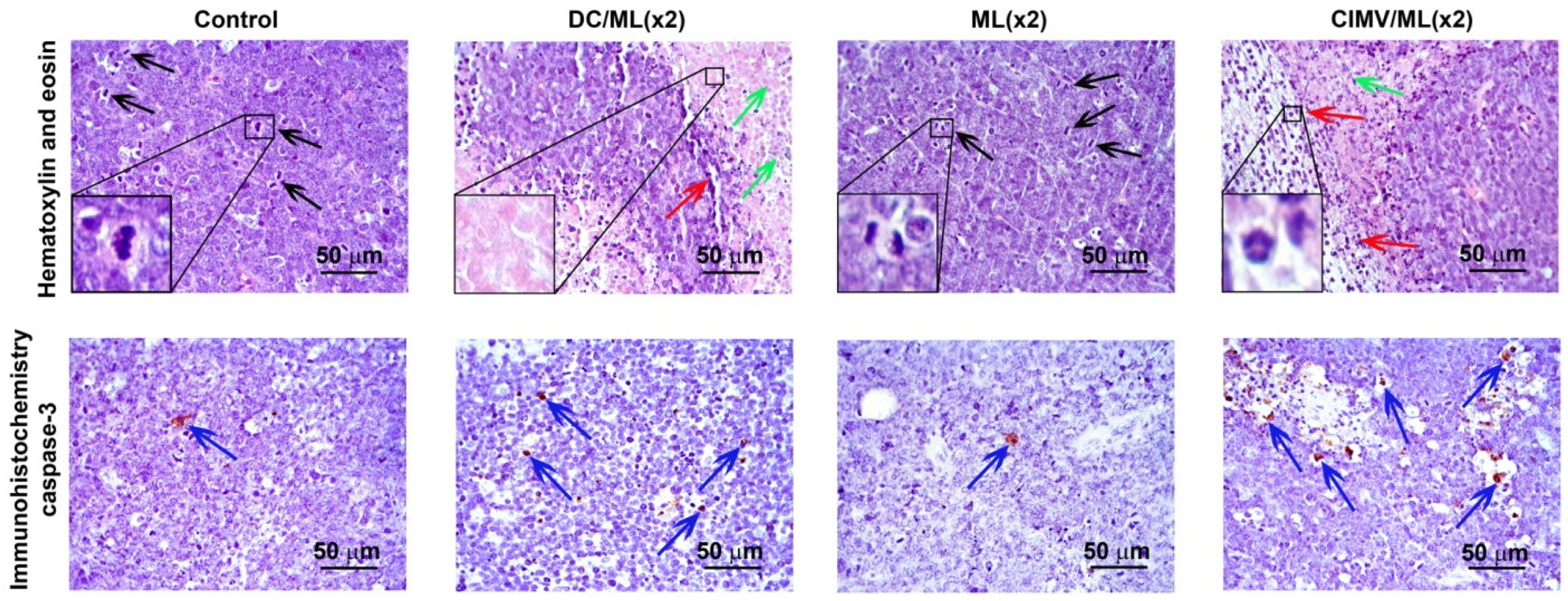Pharmaceutics 14 02542 g004 Pharmaceutics 14 02542 g004