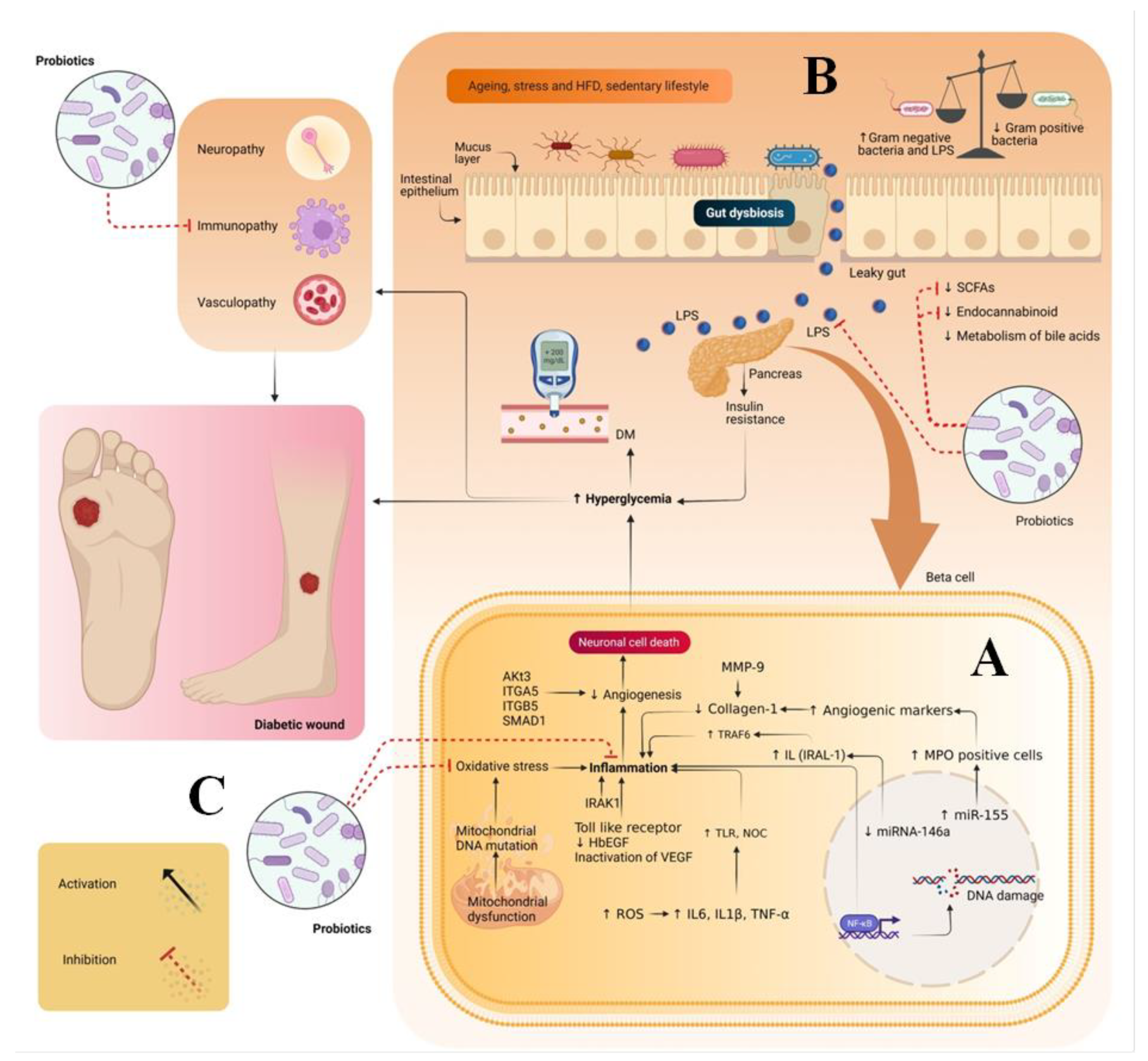 Pharmaceutics 14 02543 g001