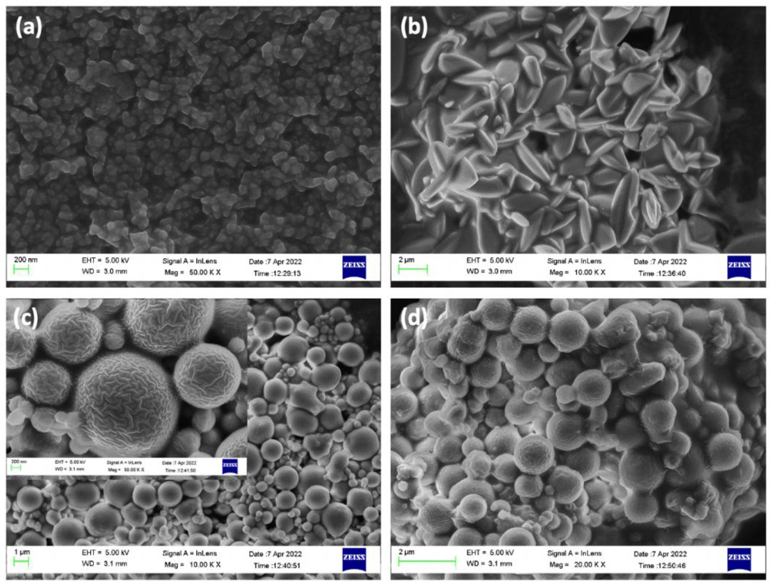 Pharmaceutics 14 02546 g007 Pharmaceutics 14 02546 g007
