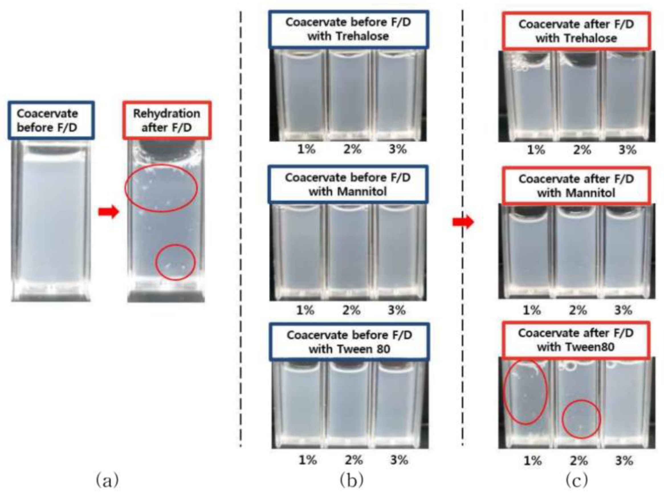 Pharmaceutics 14 02548 g001