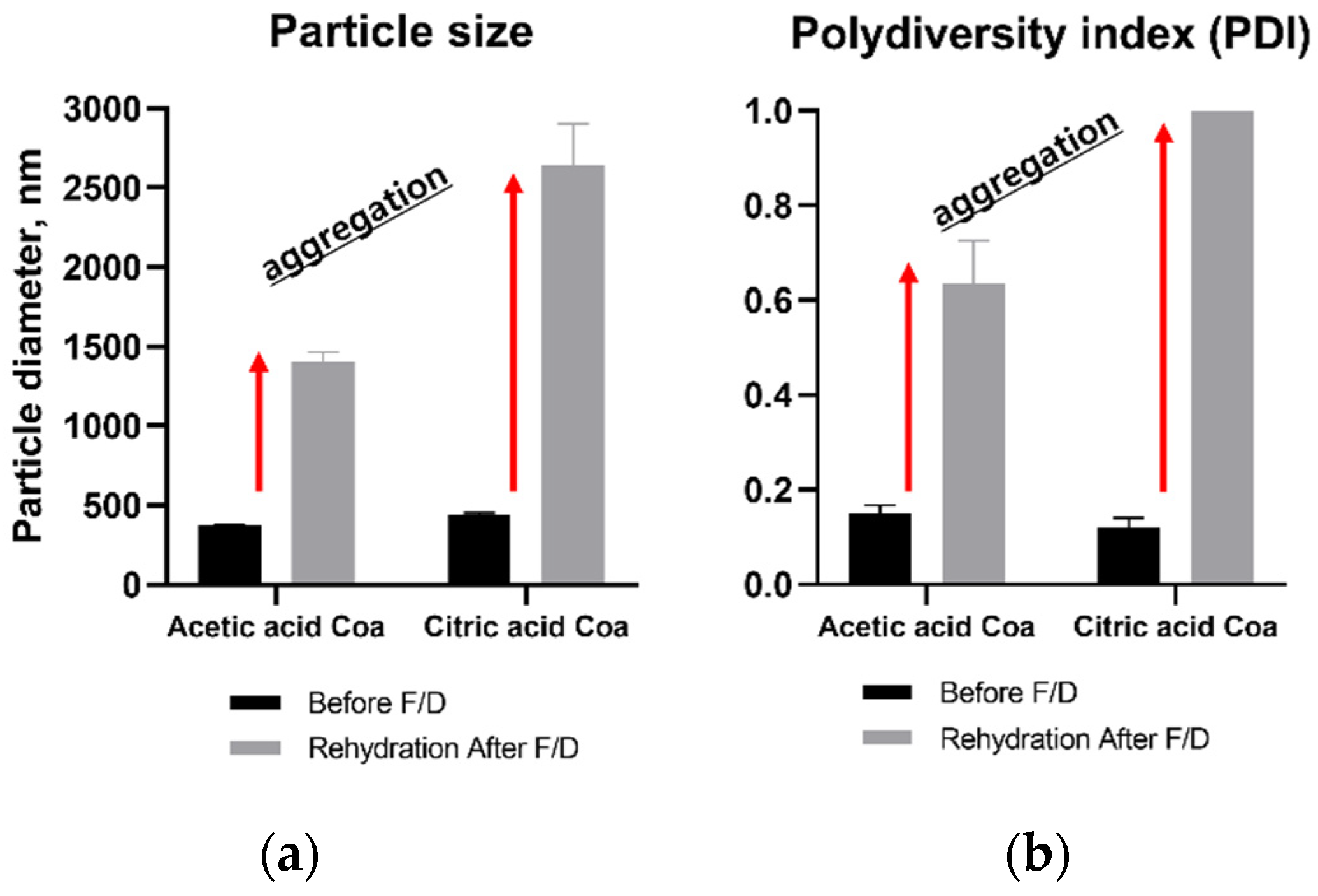 Pharmaceutics 14 02548 g002