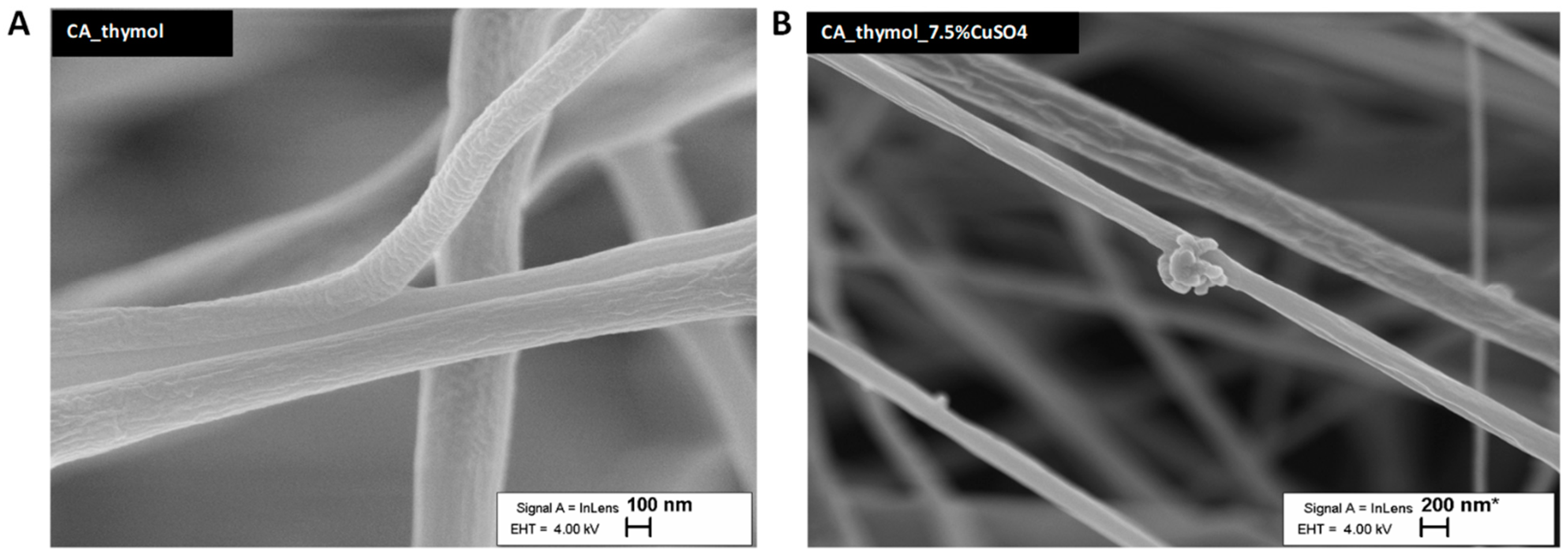 Pharmaceutics 14 02549 g002 Pharmaceutics 14 02549 g002