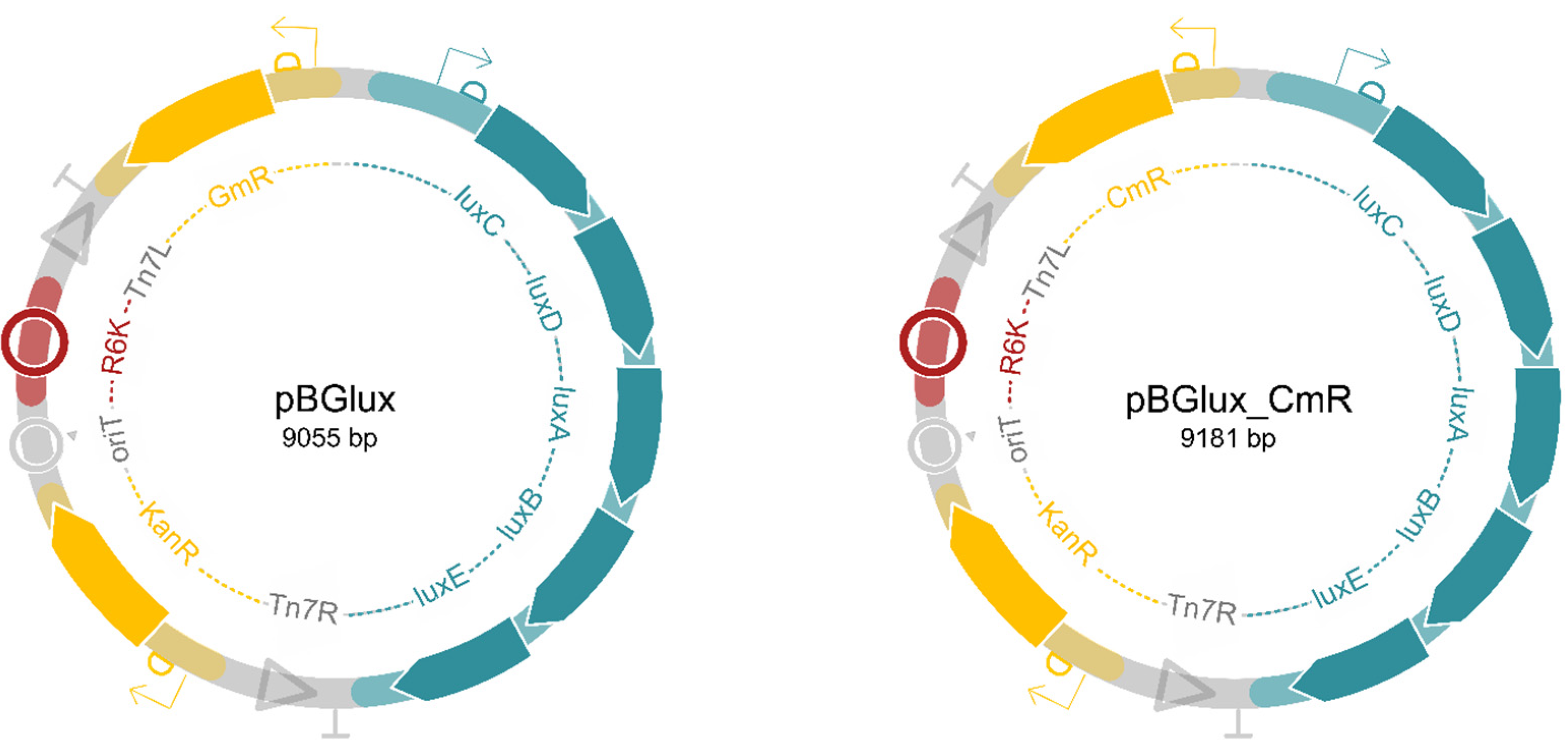Pharmaceutics 14 02553 g001 Pharmaceutics 14 02553 g001
