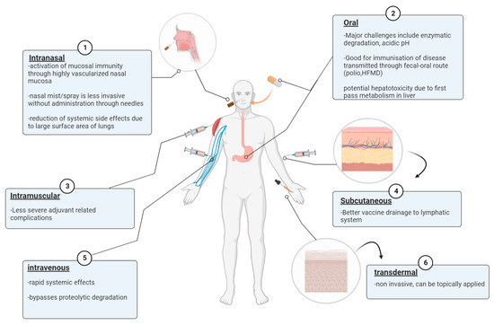 Nanovaccines against Viral Infectious Diseases