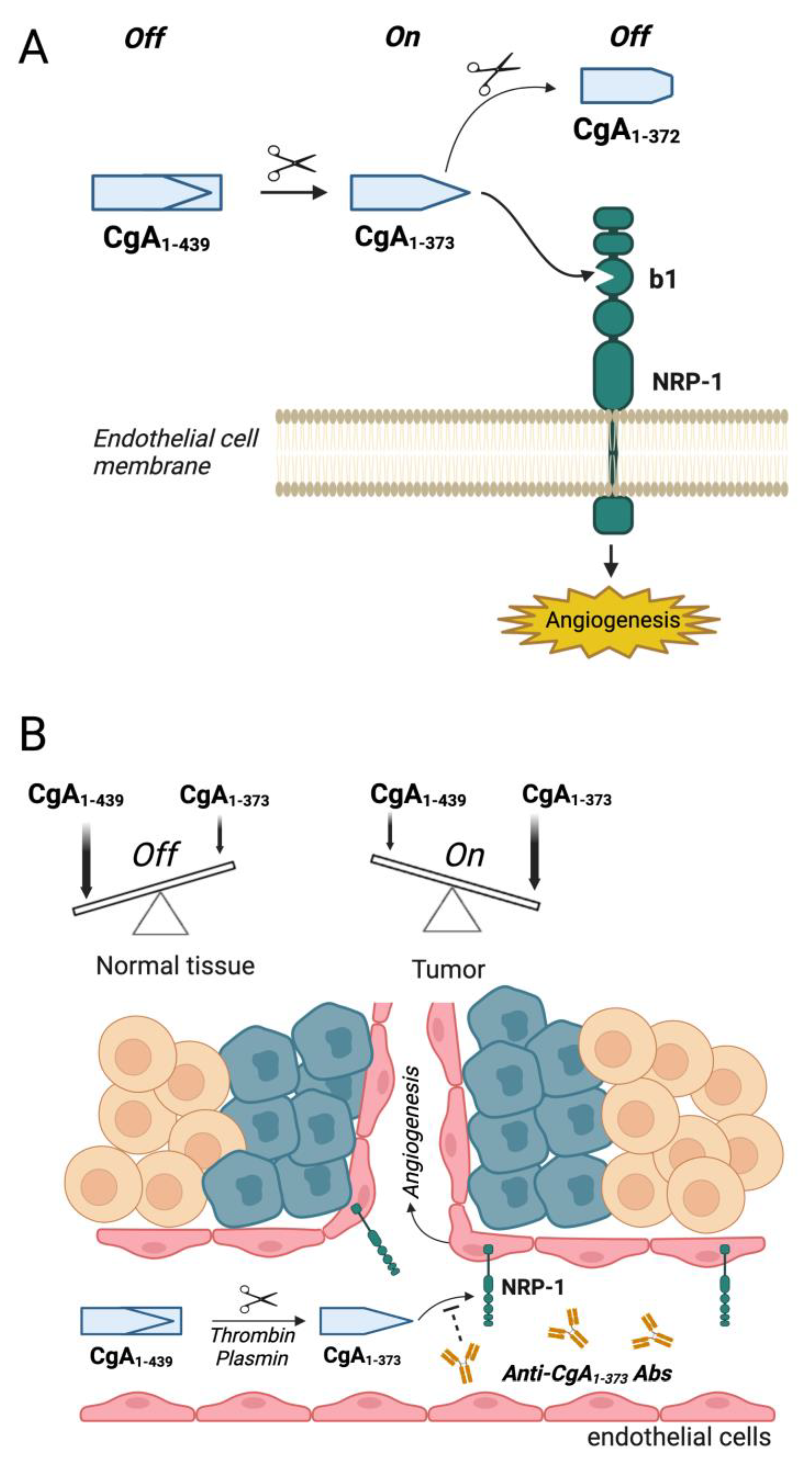Pharmaceutics 14 02555 g001 Pharmaceutics 14 02555 g001