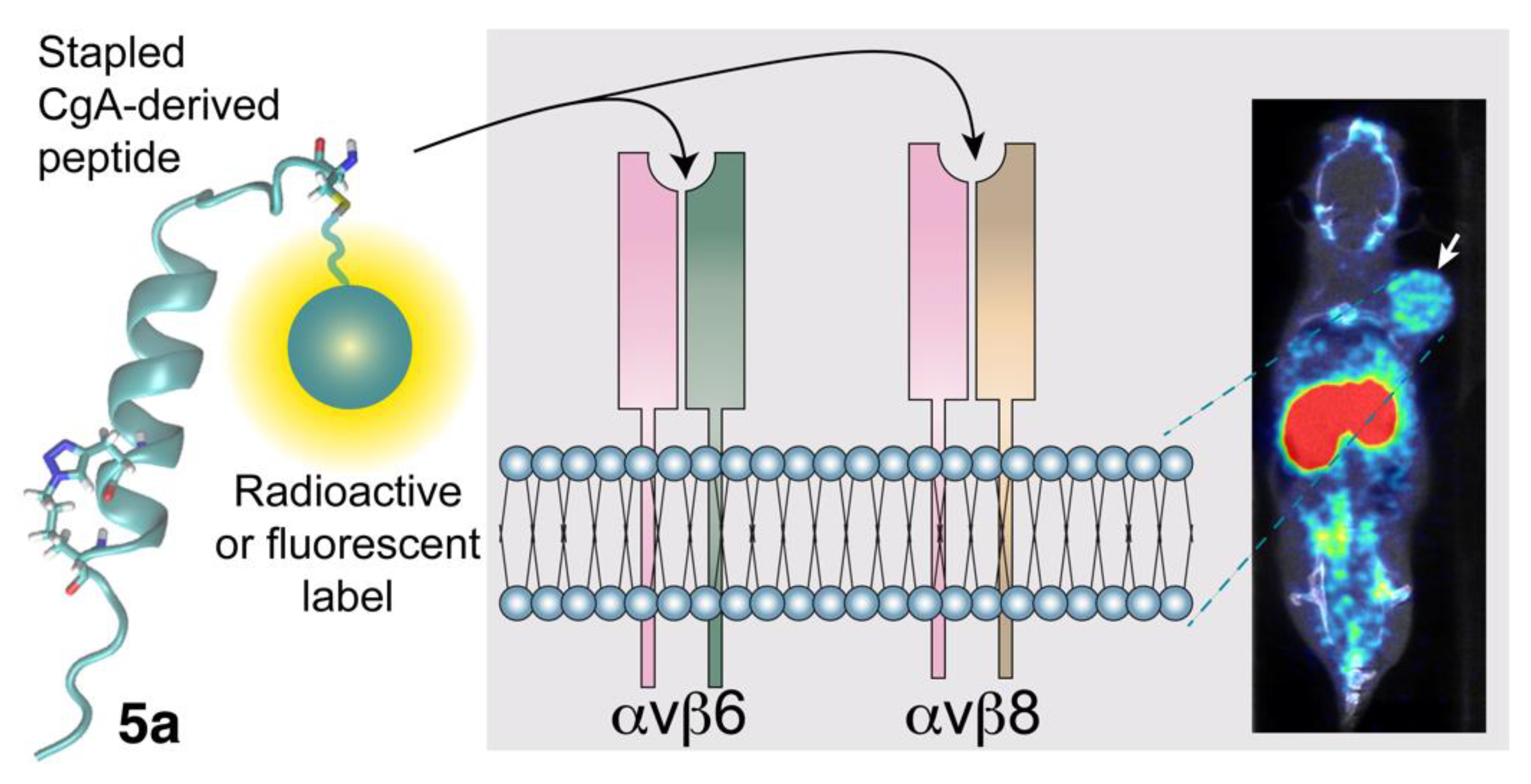 Pharmaceutics 14 02555 g002 Pharmaceutics 14 02555 g002