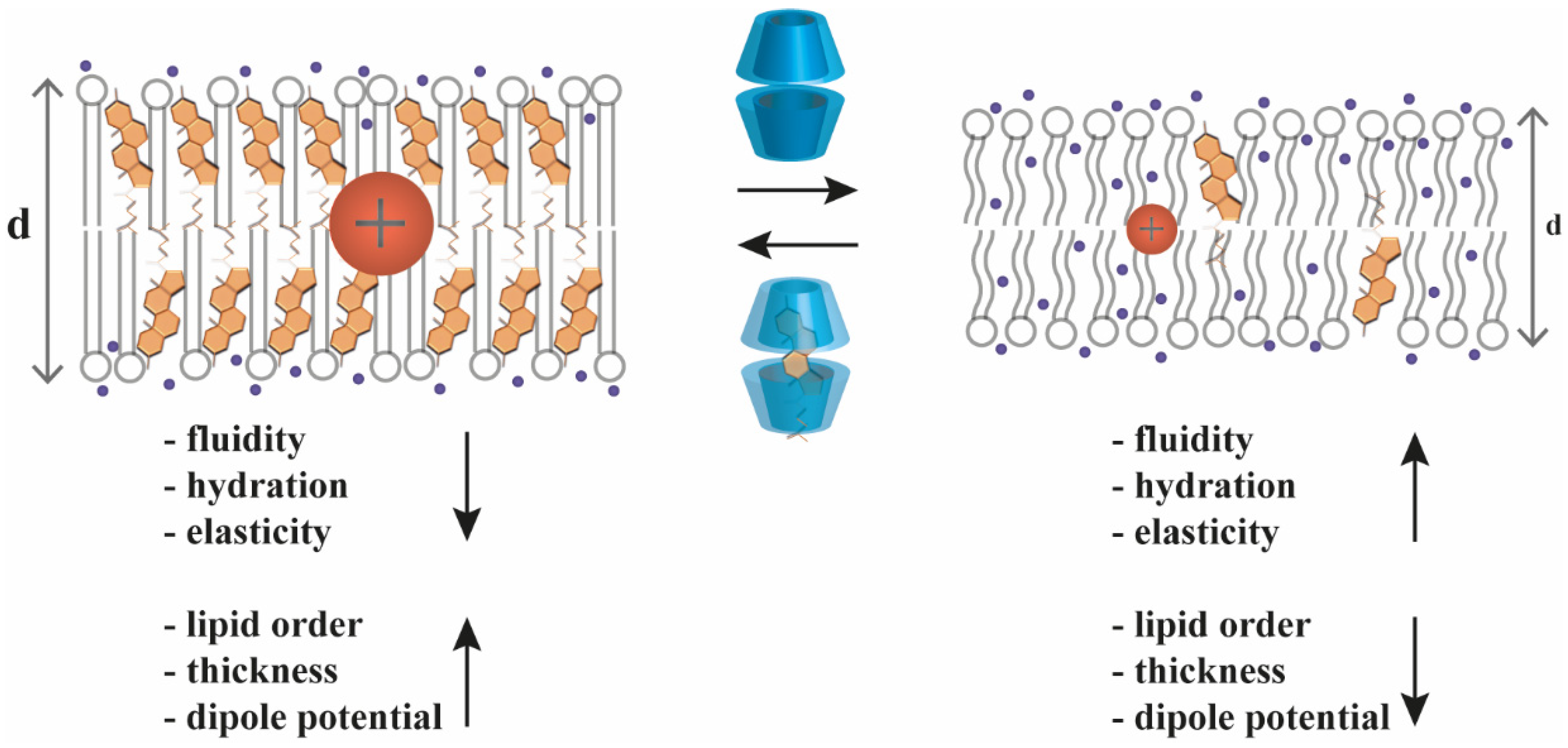 Pharmaceutics 14 02559 g003 Pharmaceutics 14 02559 g003