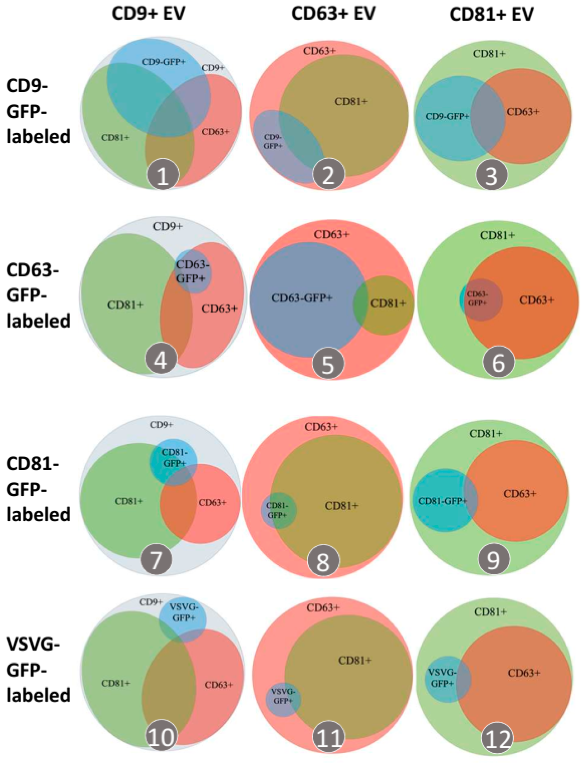 Pharmaceutics 14 02564 g004 Pharmaceutics 14 02564 g004