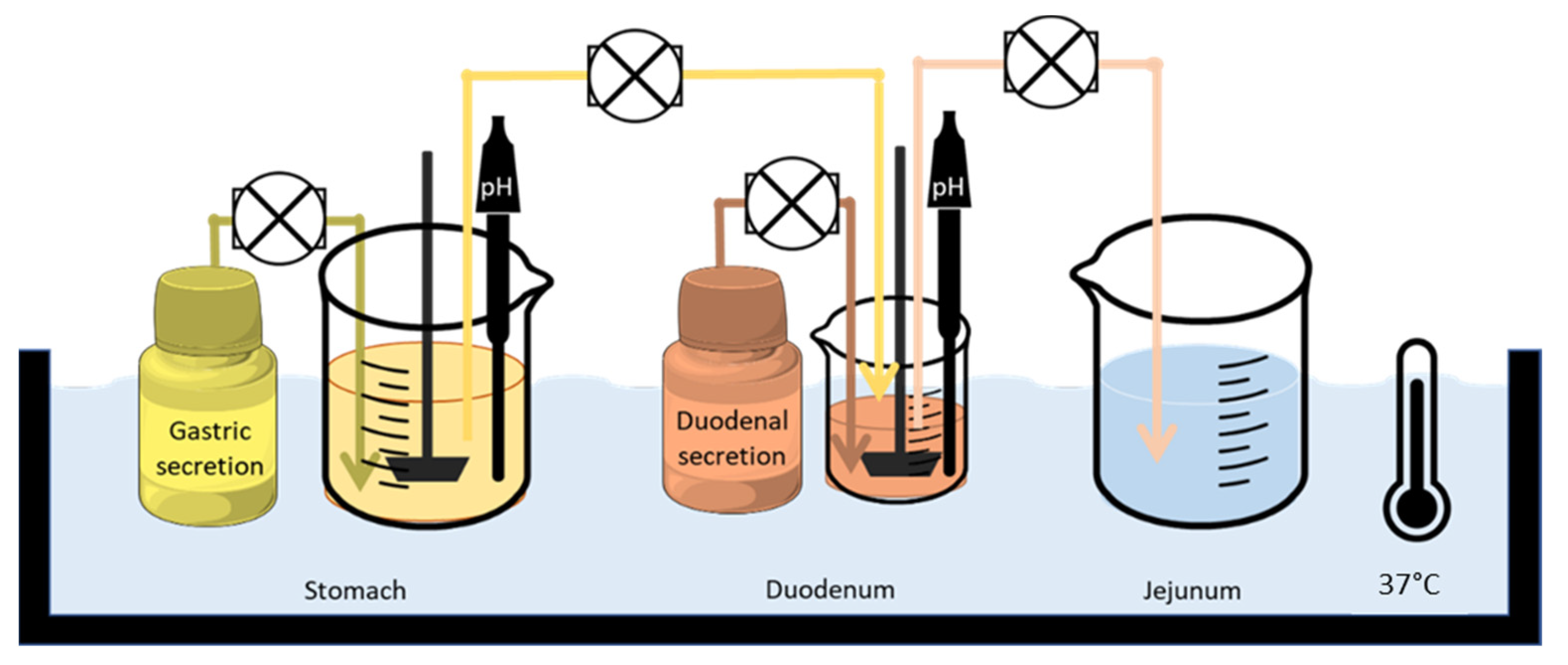 Pharmaceutics 14 02565 g001 Pharmaceutics 14 02565 g001
