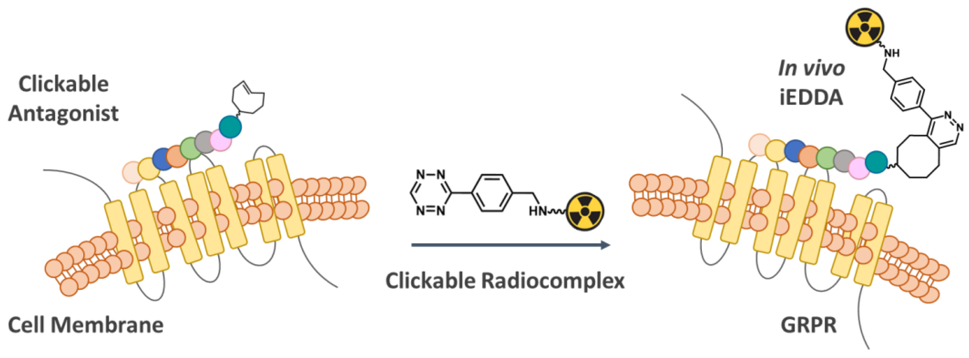Pharmaceutics 14 02569 g001 Pharmaceutics 14 02569 g001