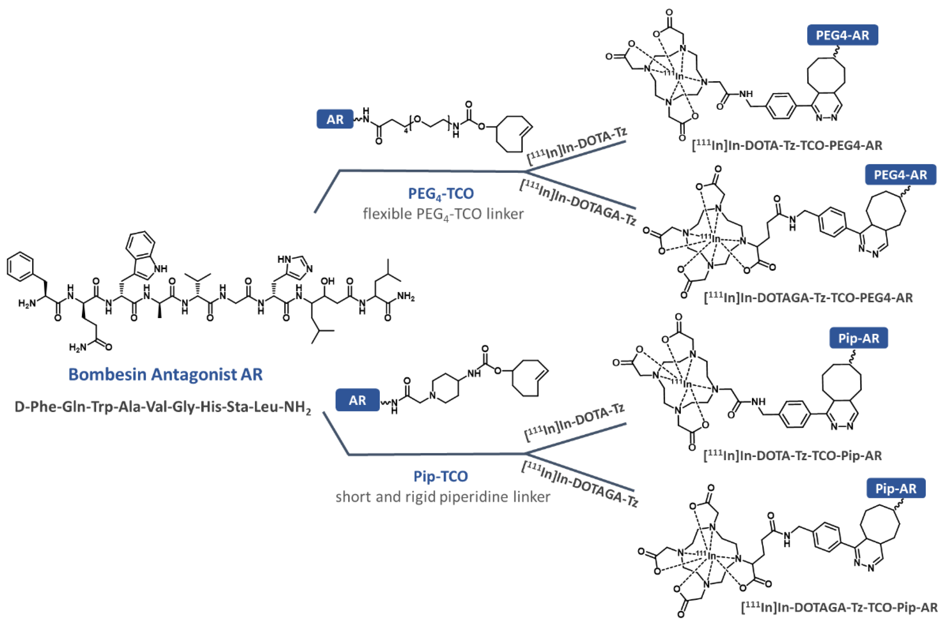 Pharmaceutics 14 02569 g002 Pharmaceutics 14 02569 g002