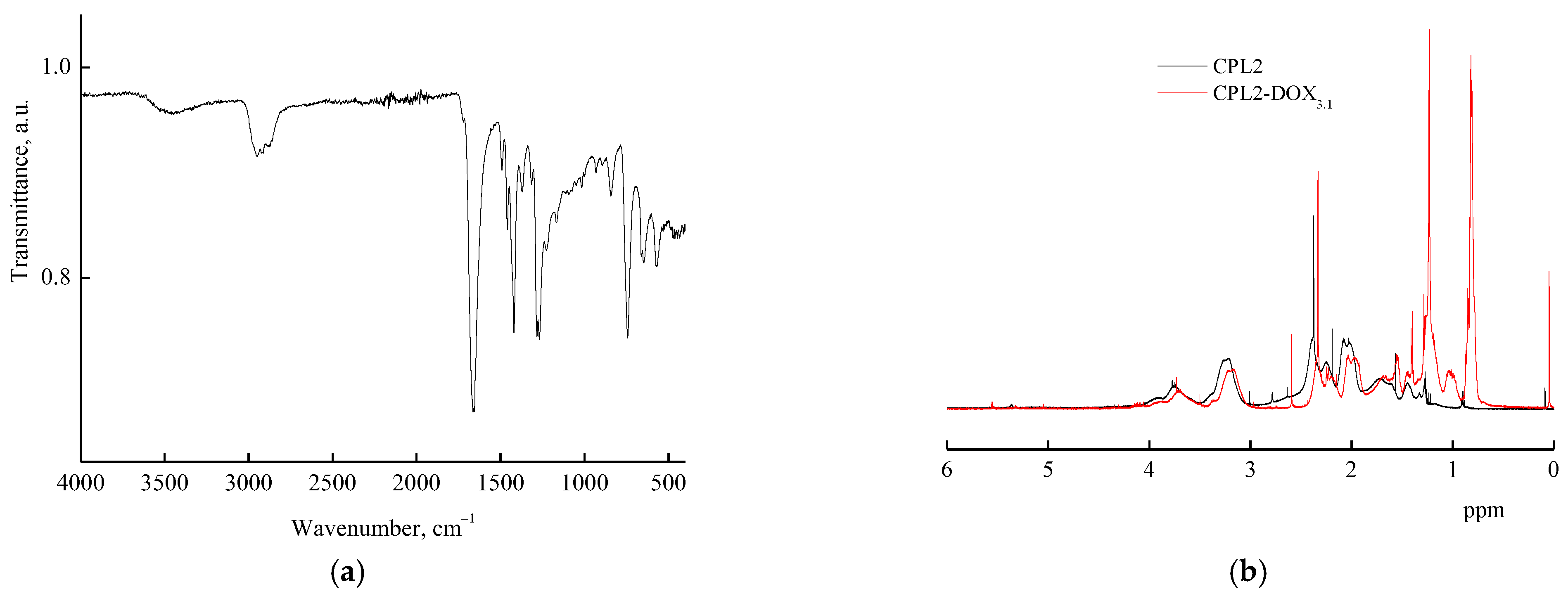 Pharmaceutics 14 02572 g003 Pharmaceutics 14 02572 g003