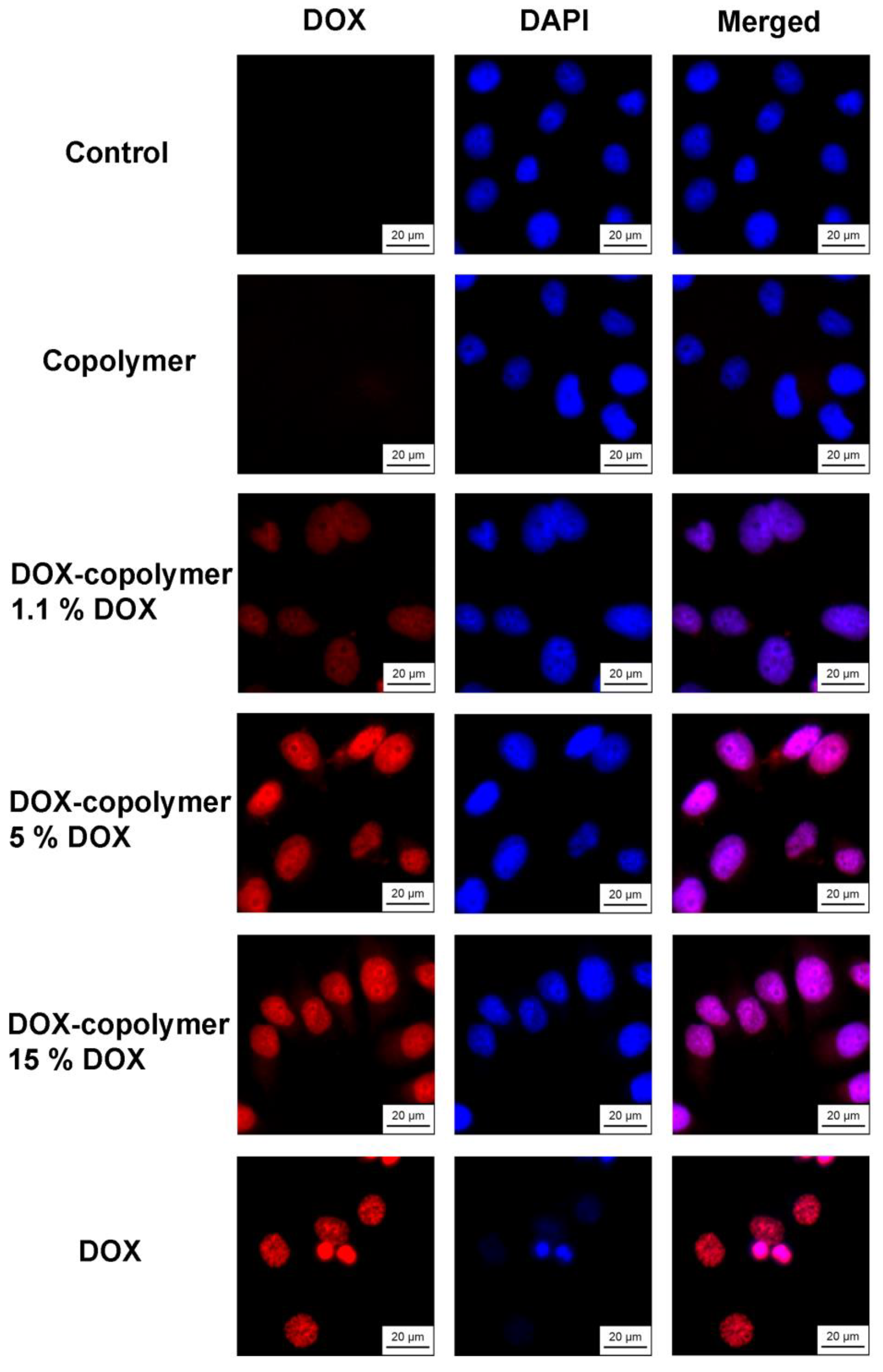 Pharmaceutics 14 02572 g019 Pharmaceutics 14 02572 g019
