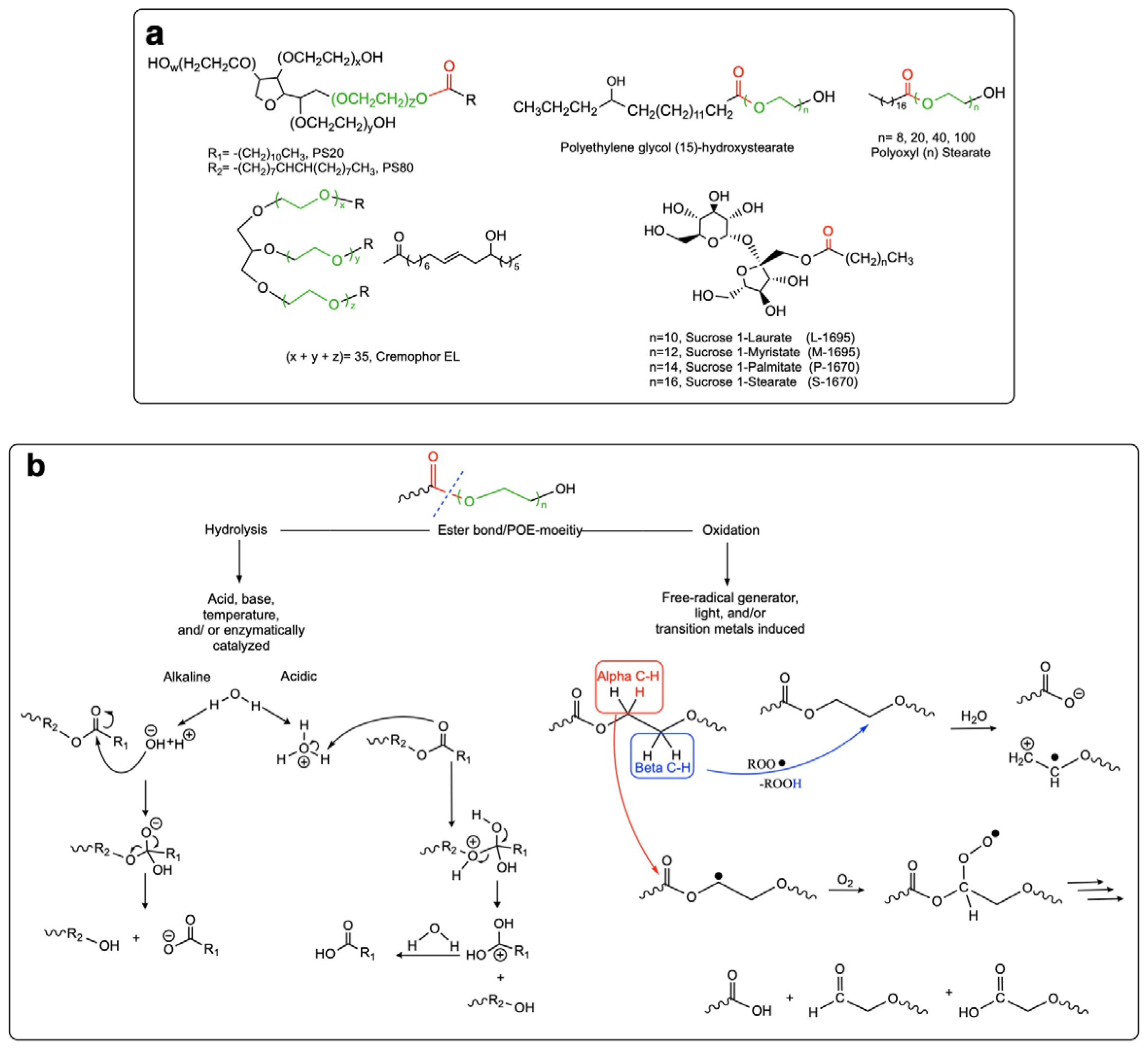 Pharmaceutics 14 02575 g001